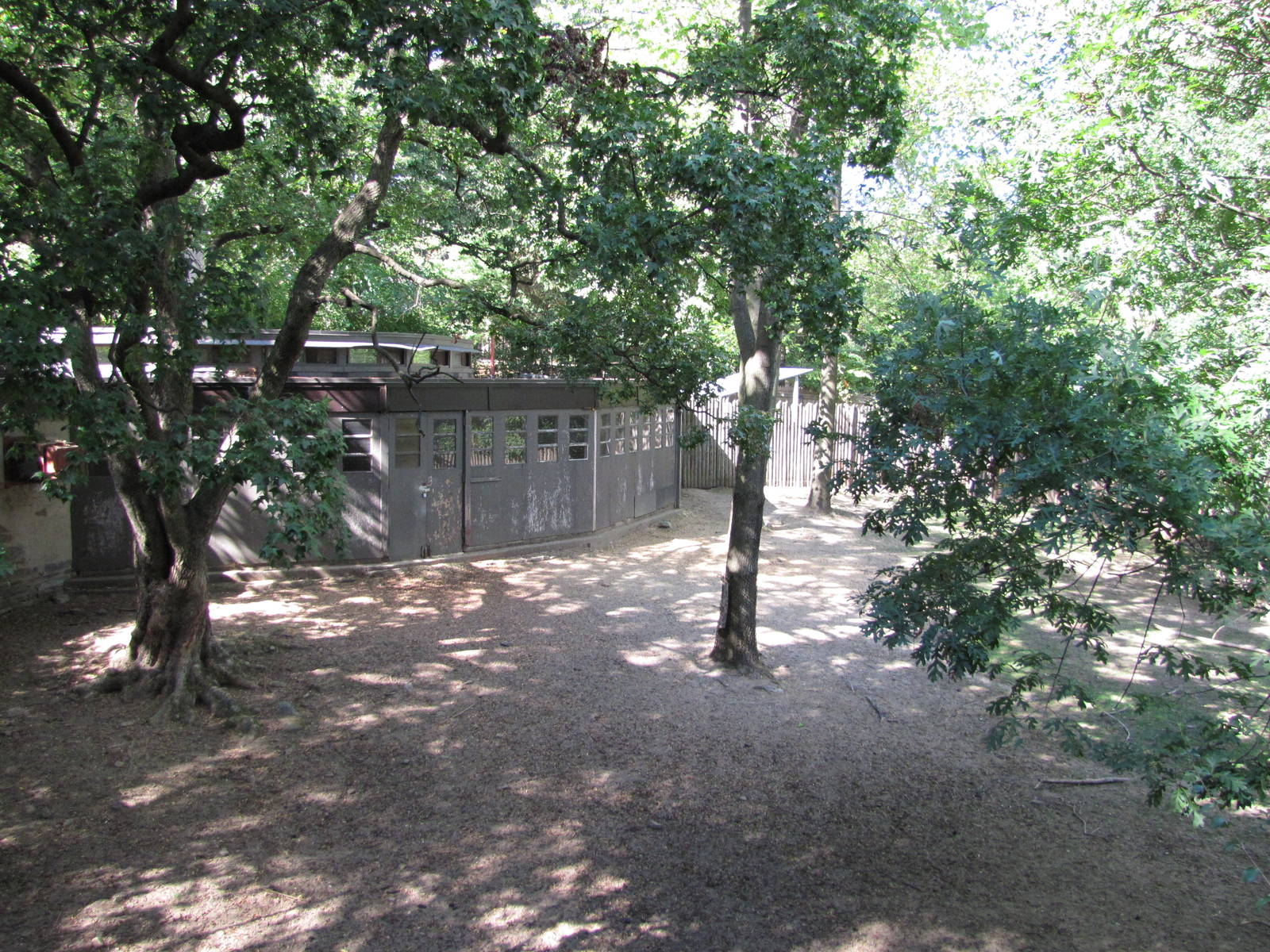 Bronx Zoo 2010 - Second part of Slender-horned Gazelle exhibit