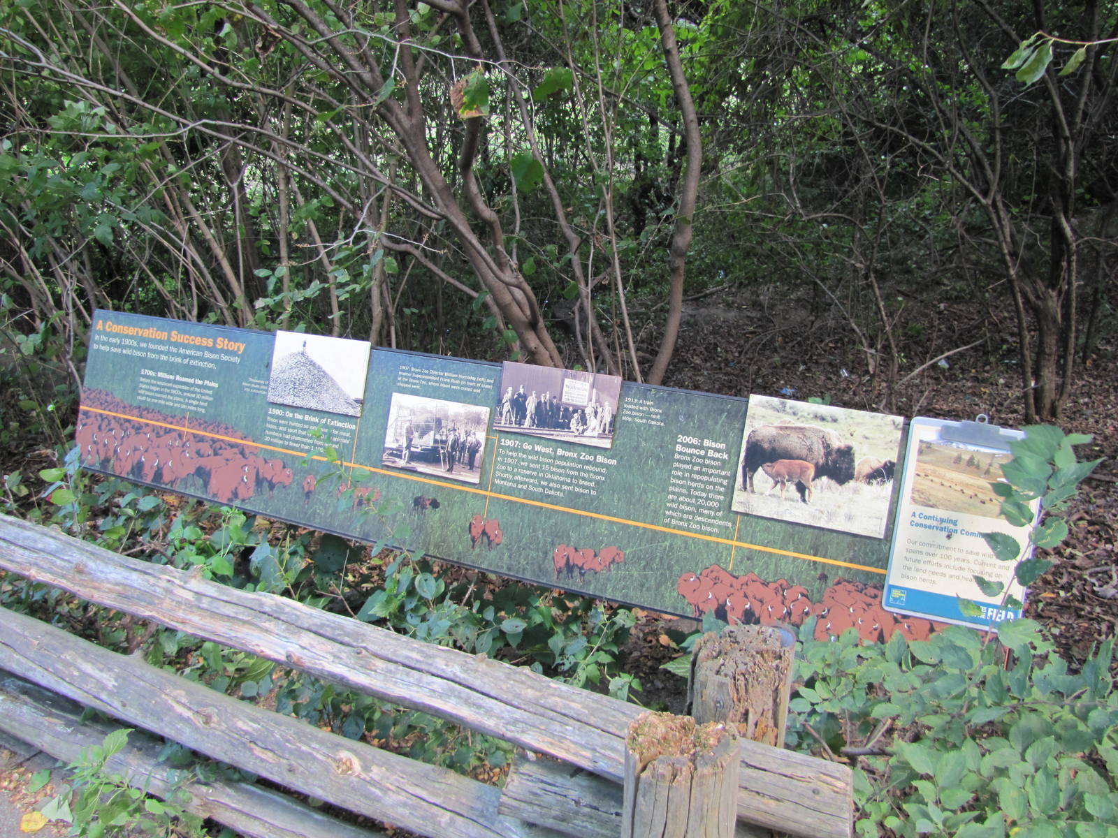 Bronx Zoo 2010 - Sign on how NYZS saved the American Bison