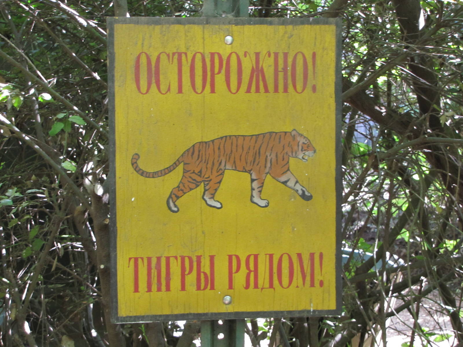 Bronx Zoo 2010 - Tiger Mountain sign from Russia