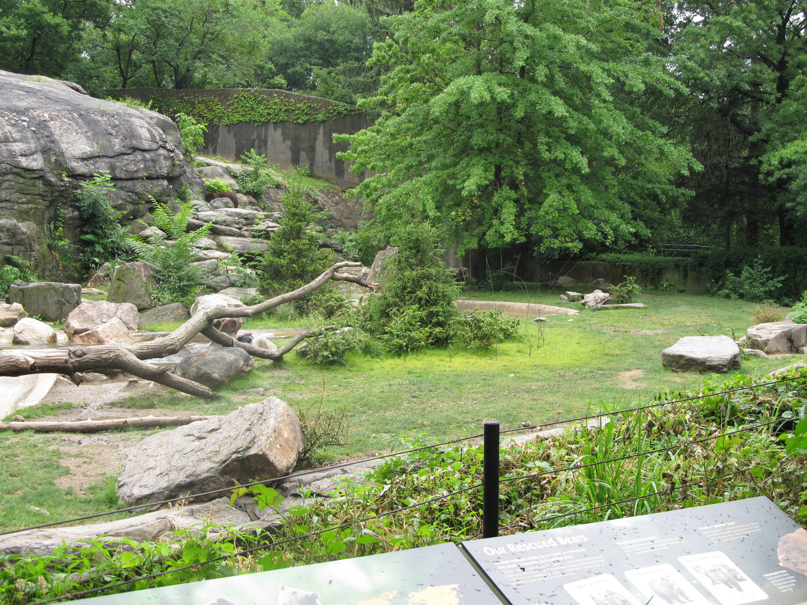 Bronx Zoo 2011 Brown Bear exhibit renovation