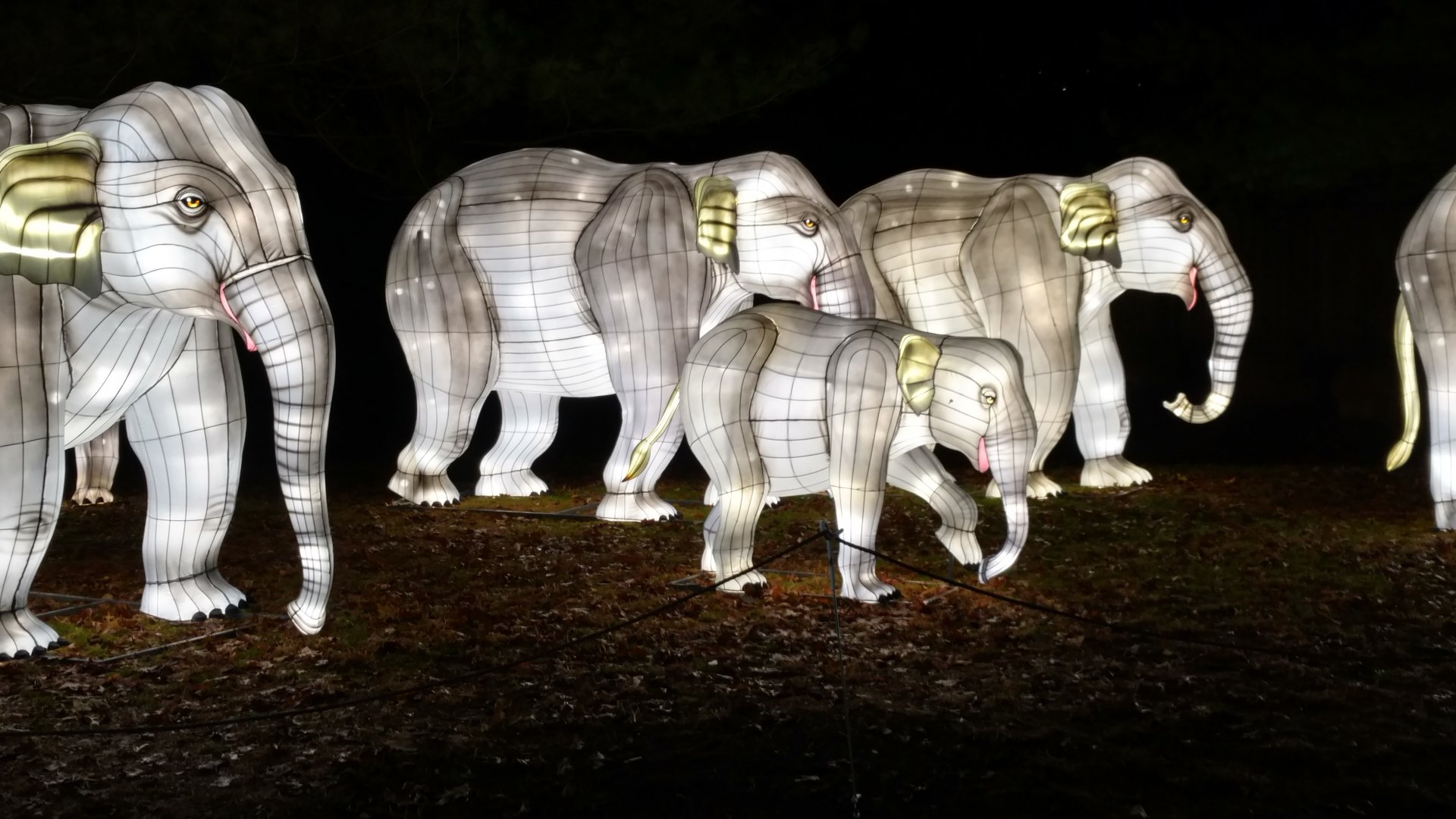 Bronx Zoo, 2019 Holiday Lights