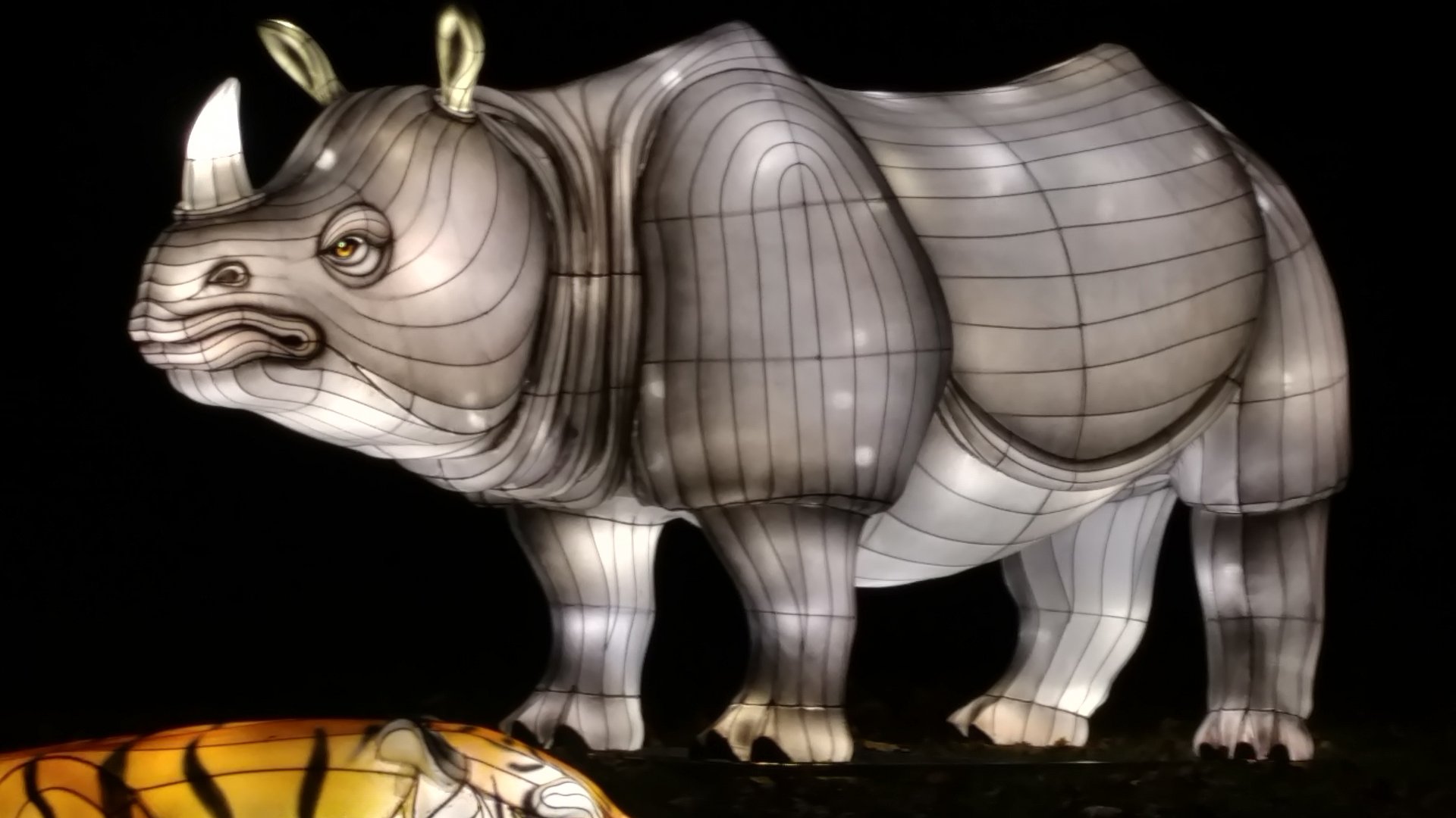 Bronx Zoo, 2019 Holiday Lights