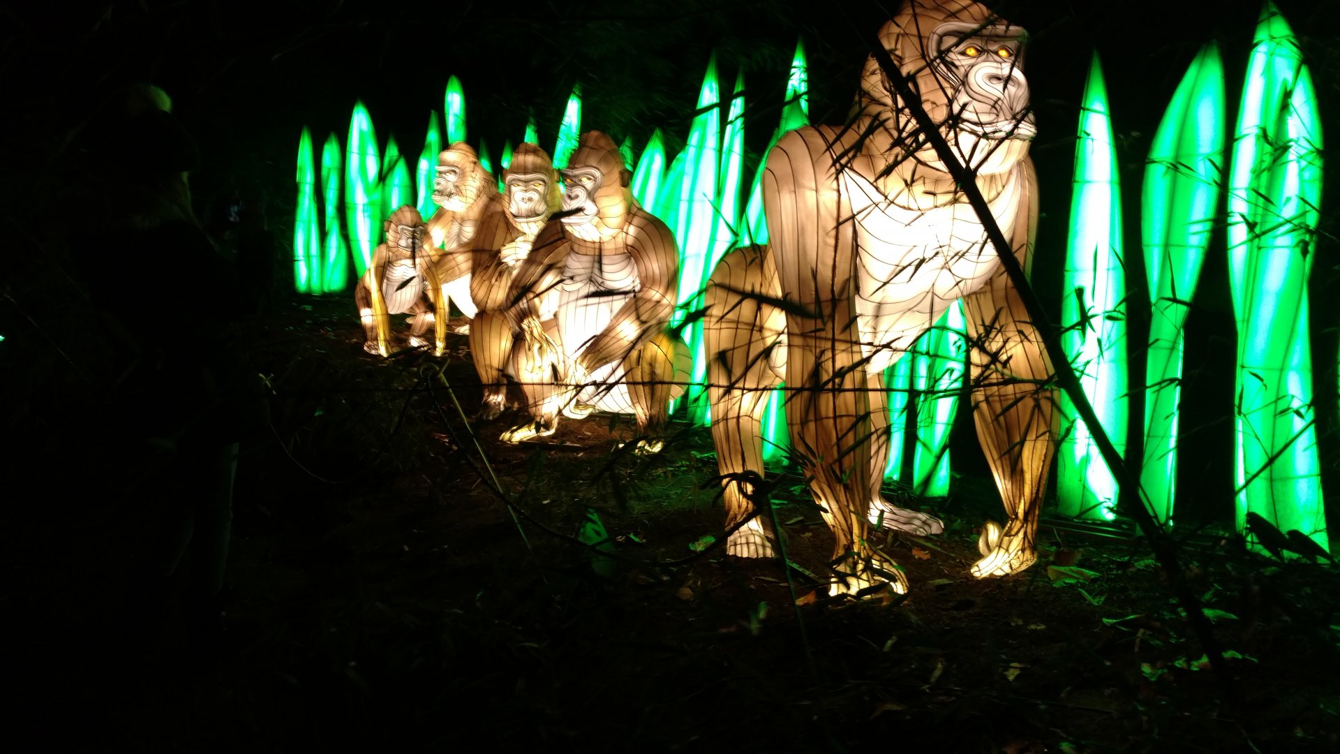 Bronx Zoo, 2019 Holiday Lights