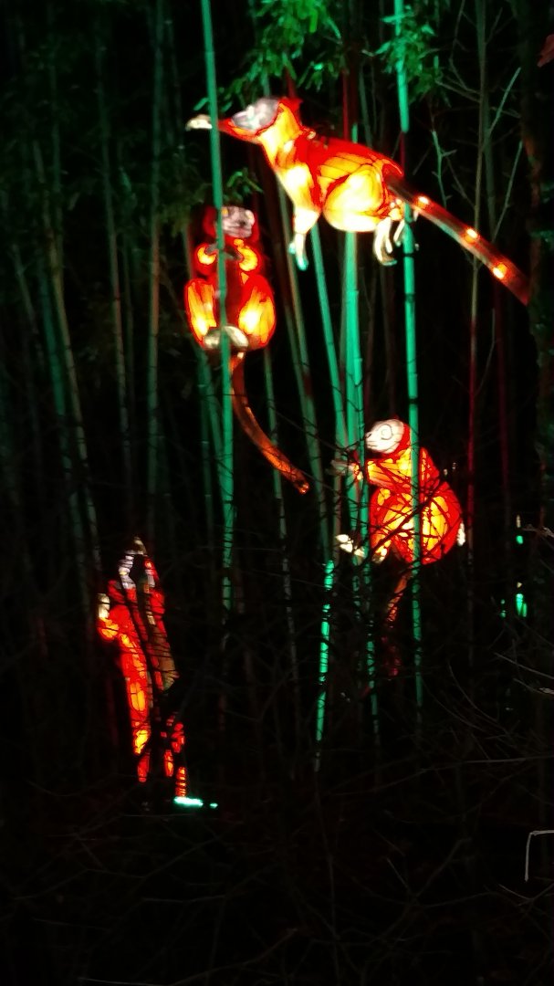 Bronx Zoo, 2019 Holiday Lights