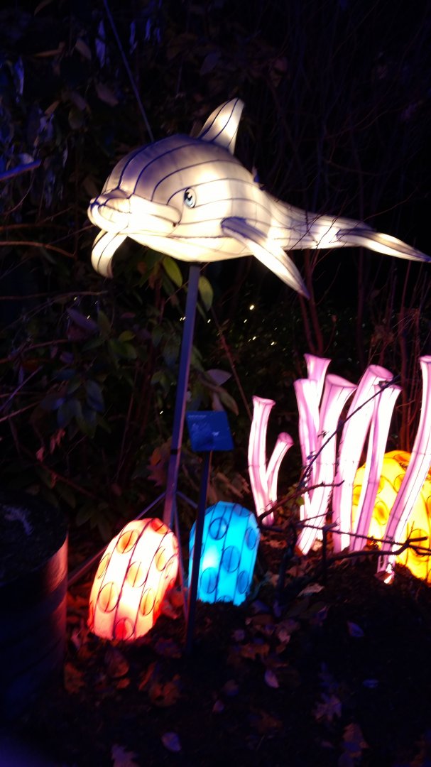 Bronx Zoo, 2019 Holiday Lights