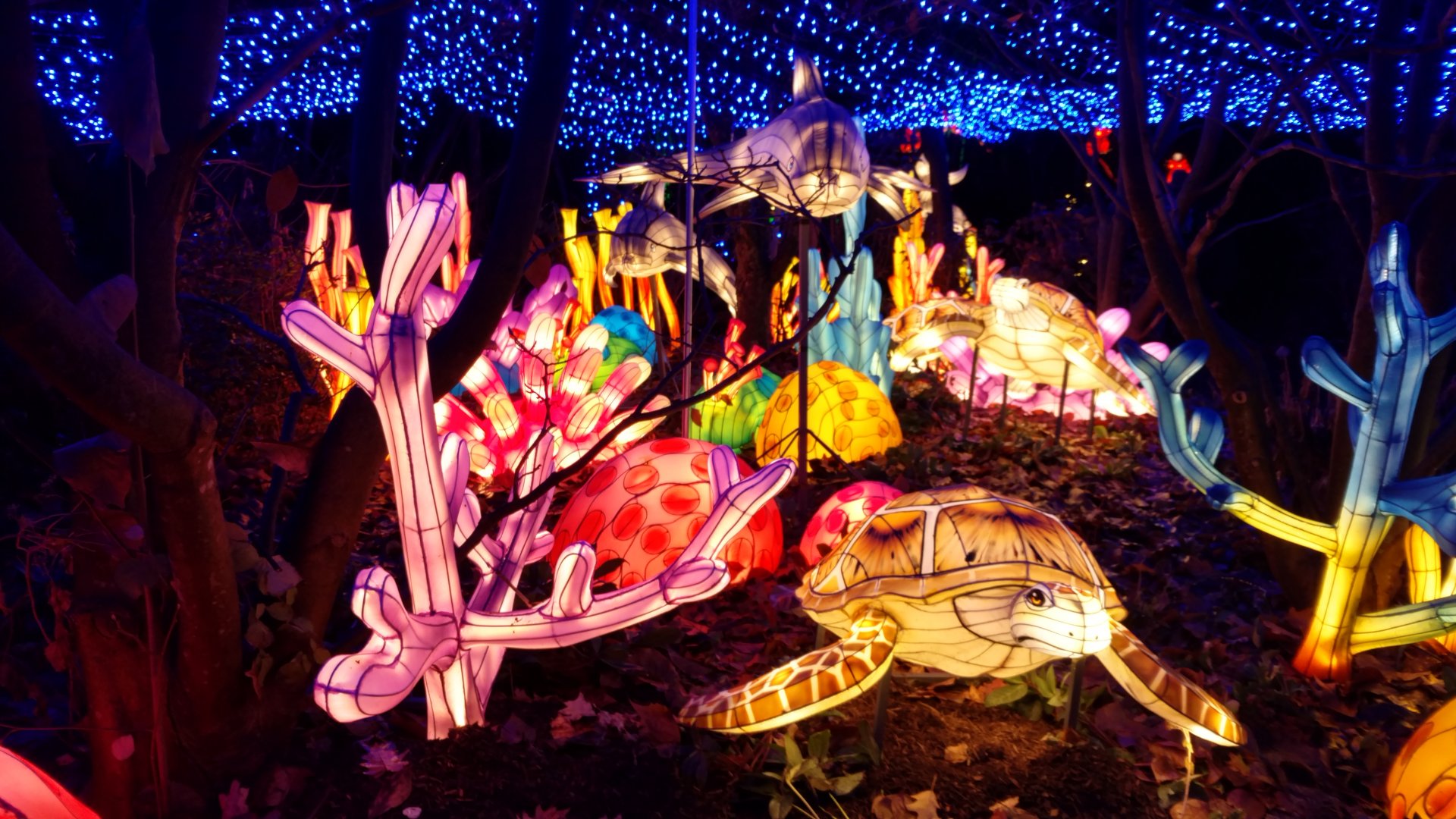 Bronx Zoo, 2019 Holiday Lights