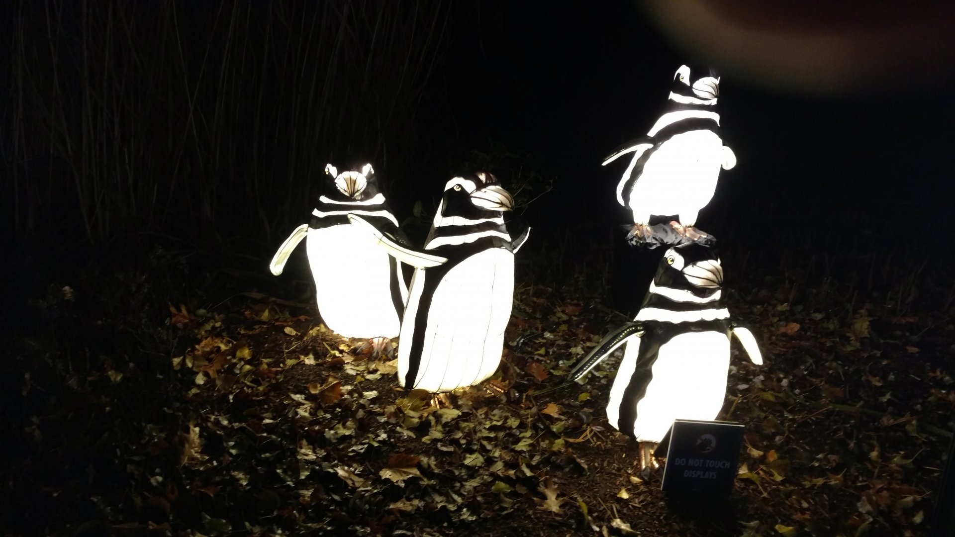 Bronx Zoo, 2019 Holiday Lights