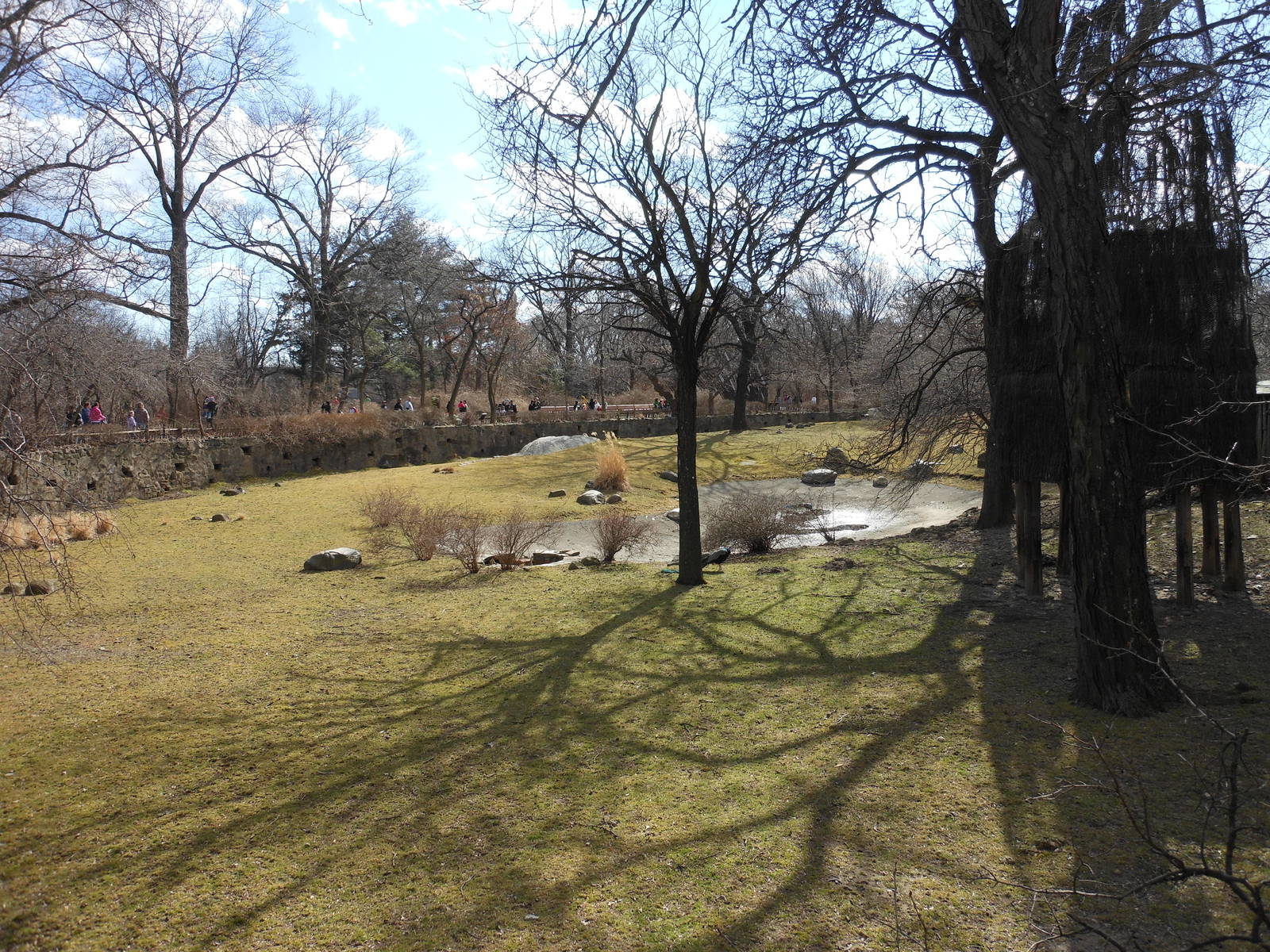 Bronx Zoo- African Plains- N'yala Exhibit