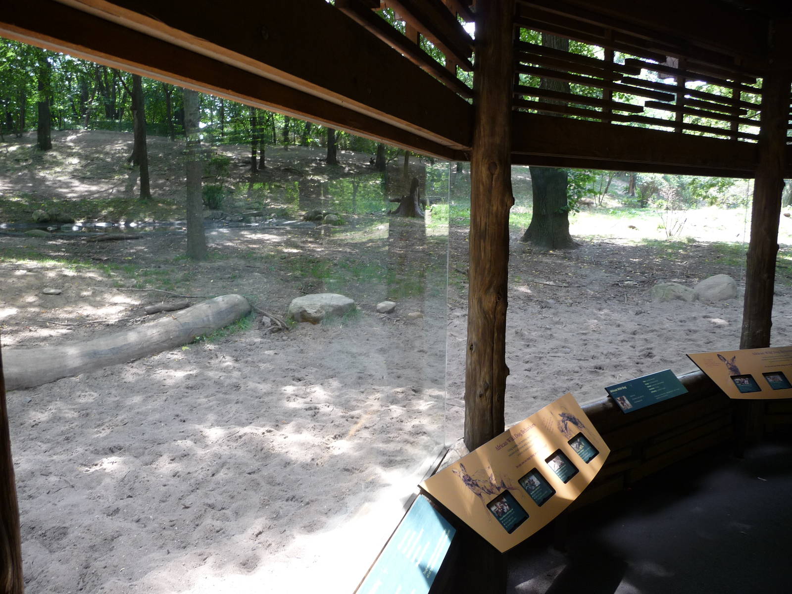 Bronx Zoo - African Wild Dog Viewing Window