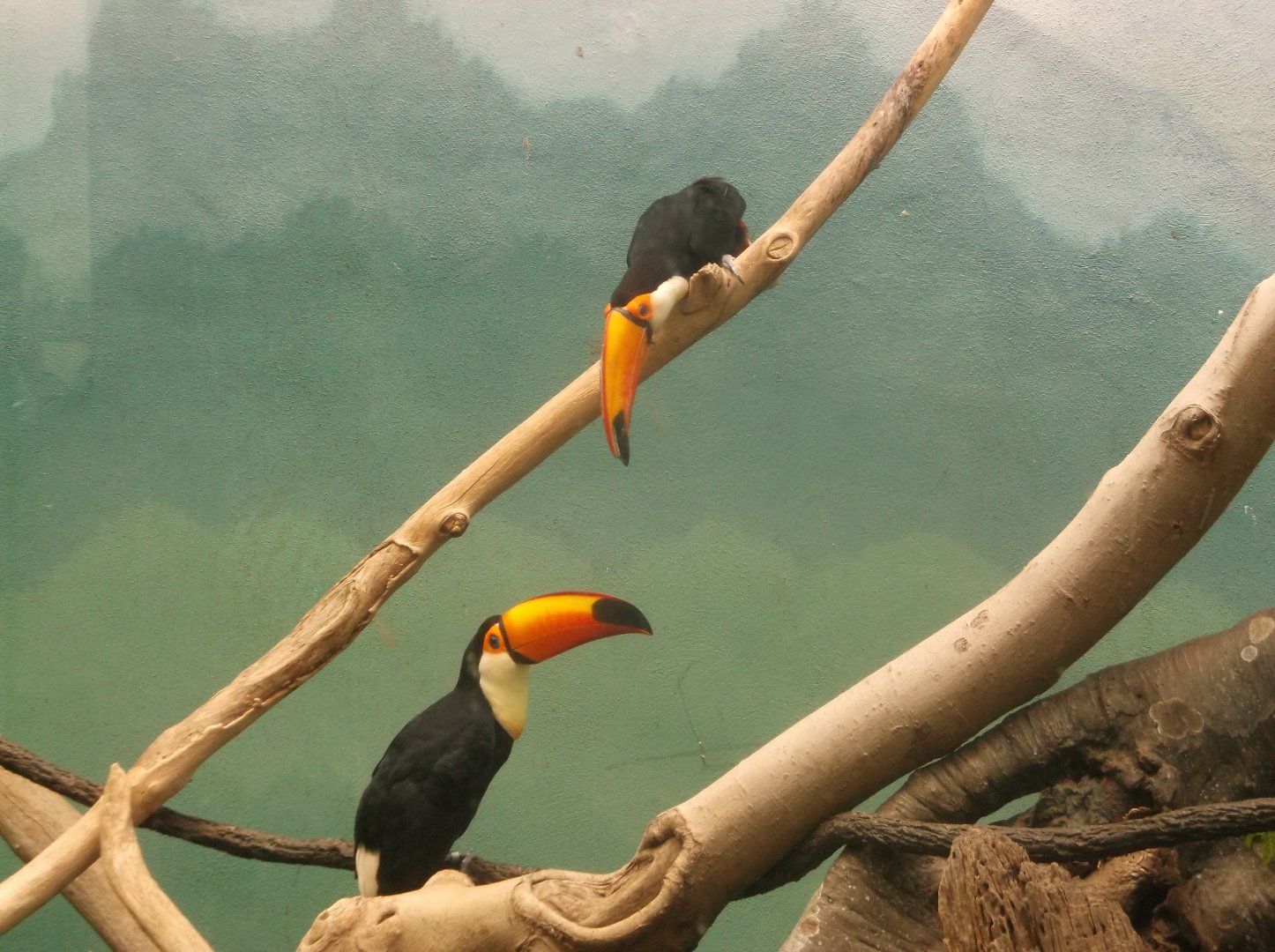 Bronx Zoo: April 23, 2017