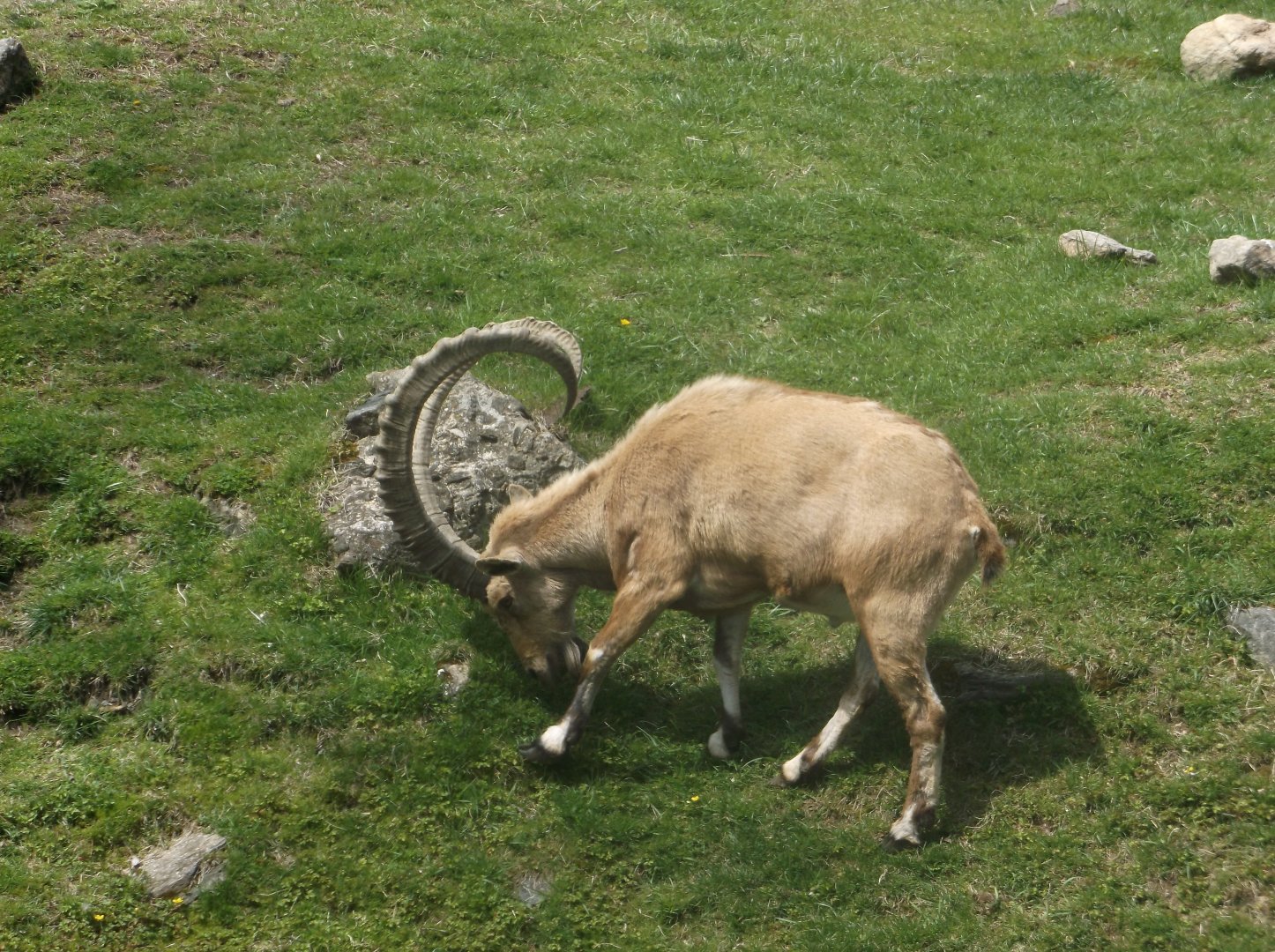 Bronx Zoo: April 23, 2017