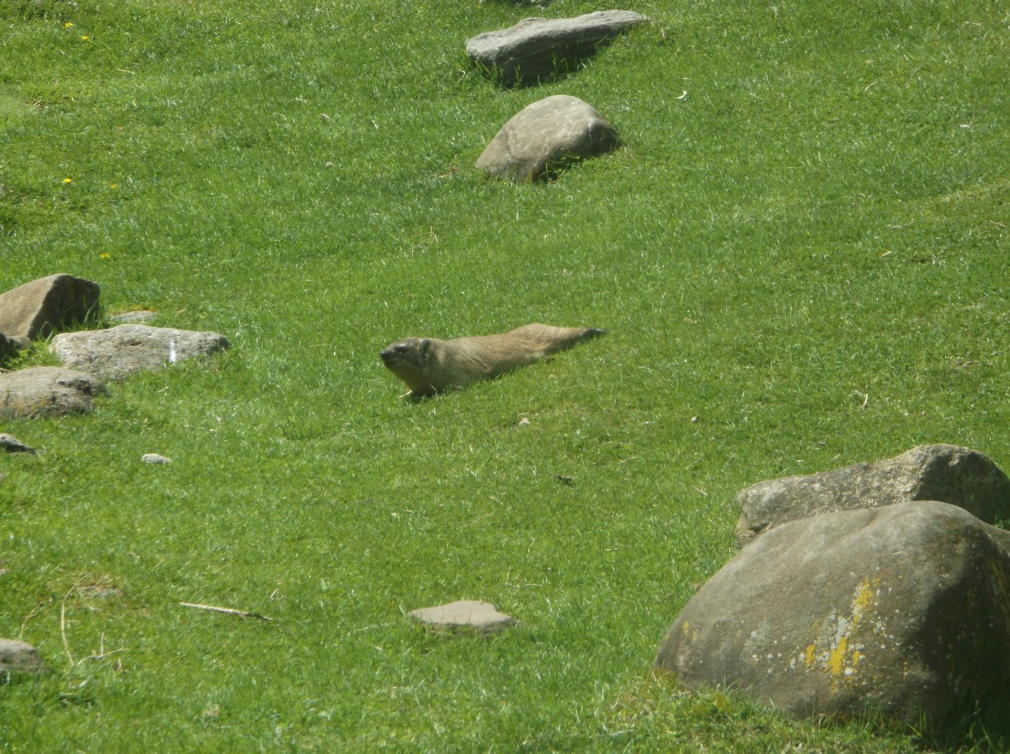 Bronx Zoo: April 23, 2017