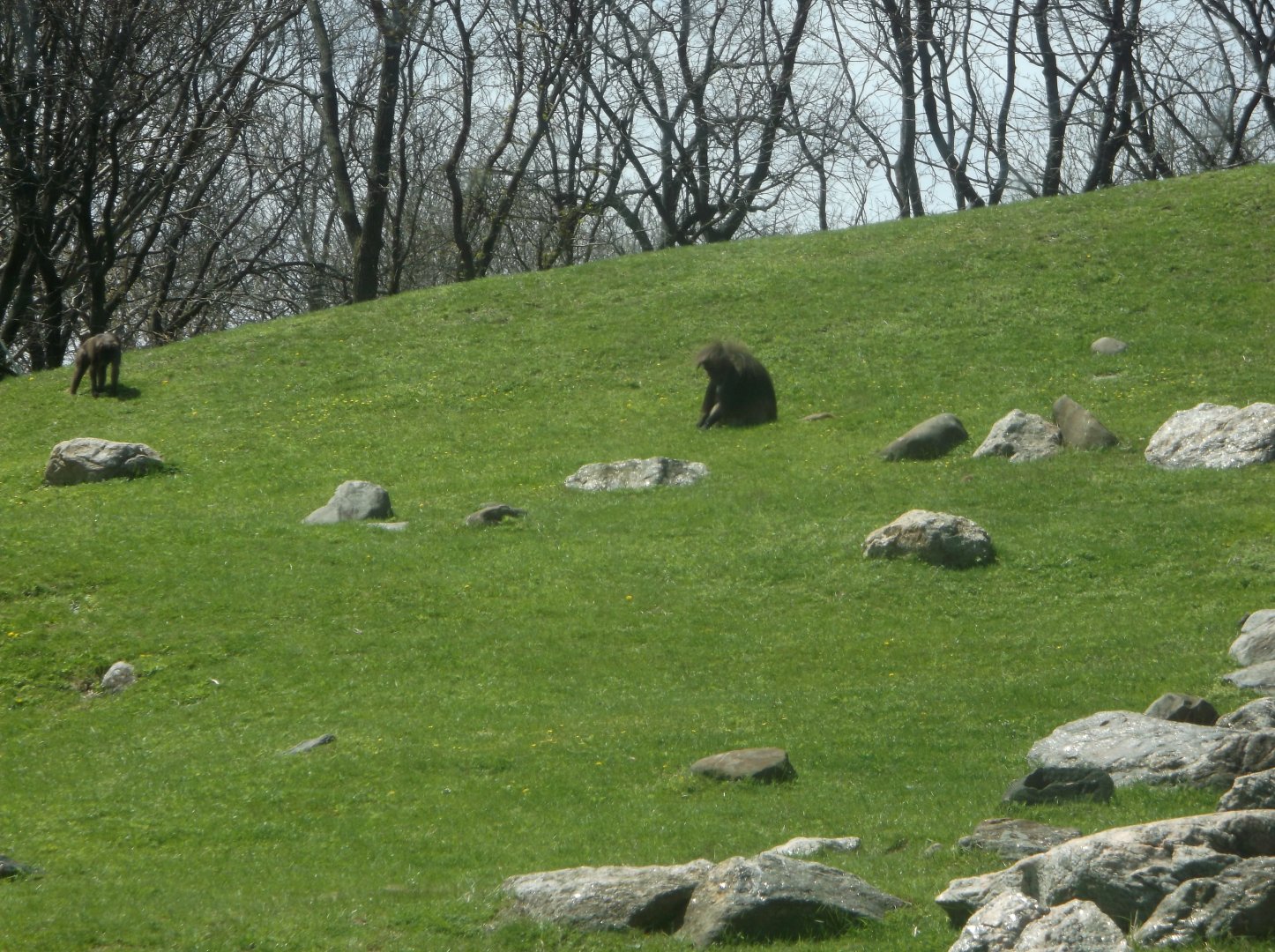 Bronx Zoo: April 23, 2017