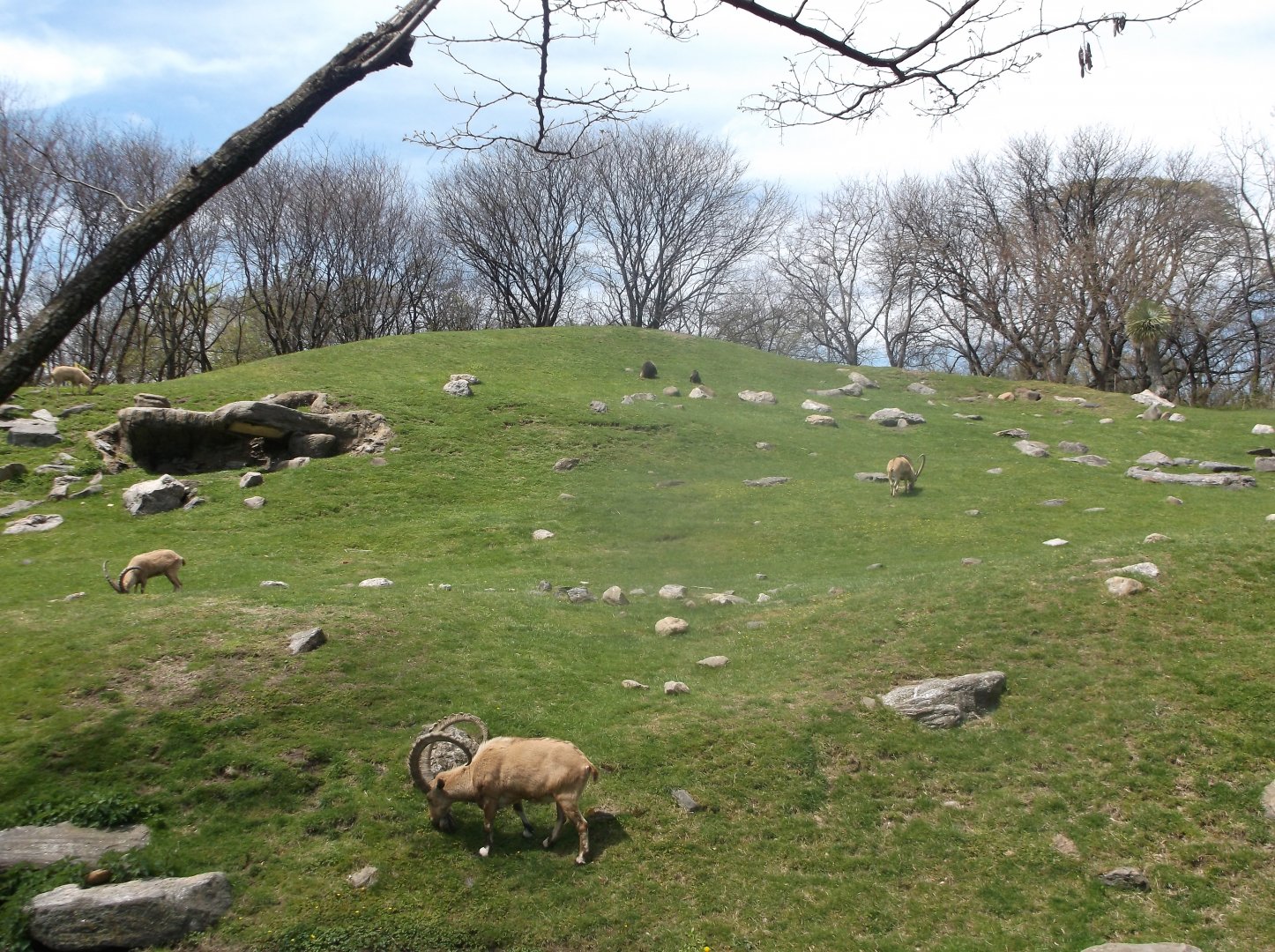 Bronx Zoo: April 23, 2017