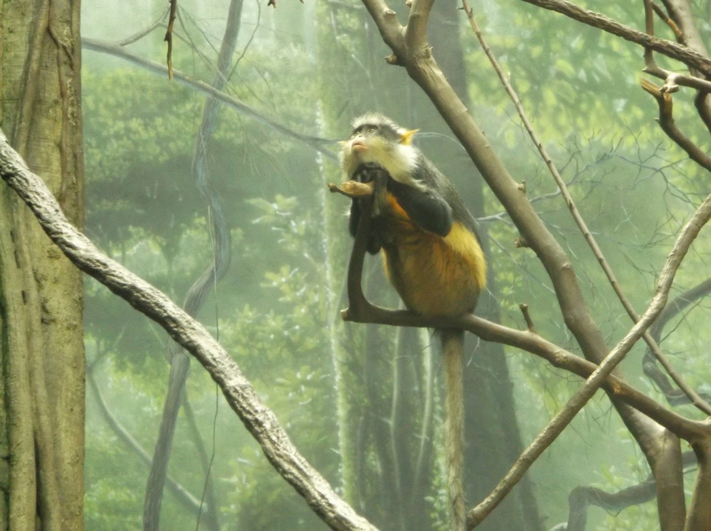 Bronx Zoo: April 23, 2017