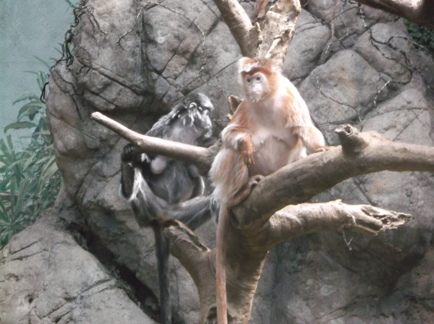 Bronx Zoo: April 23, 2017