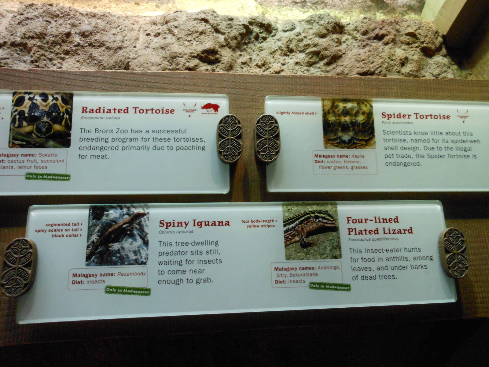 Bronx Zoo- Assorted Reptile Exhibit Signage @ Madagascar!