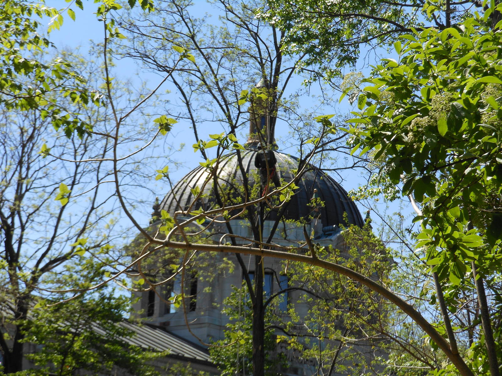 Bronx Zoo- Astor Court- Work Being Done at the Former Elephant Exhibit 3