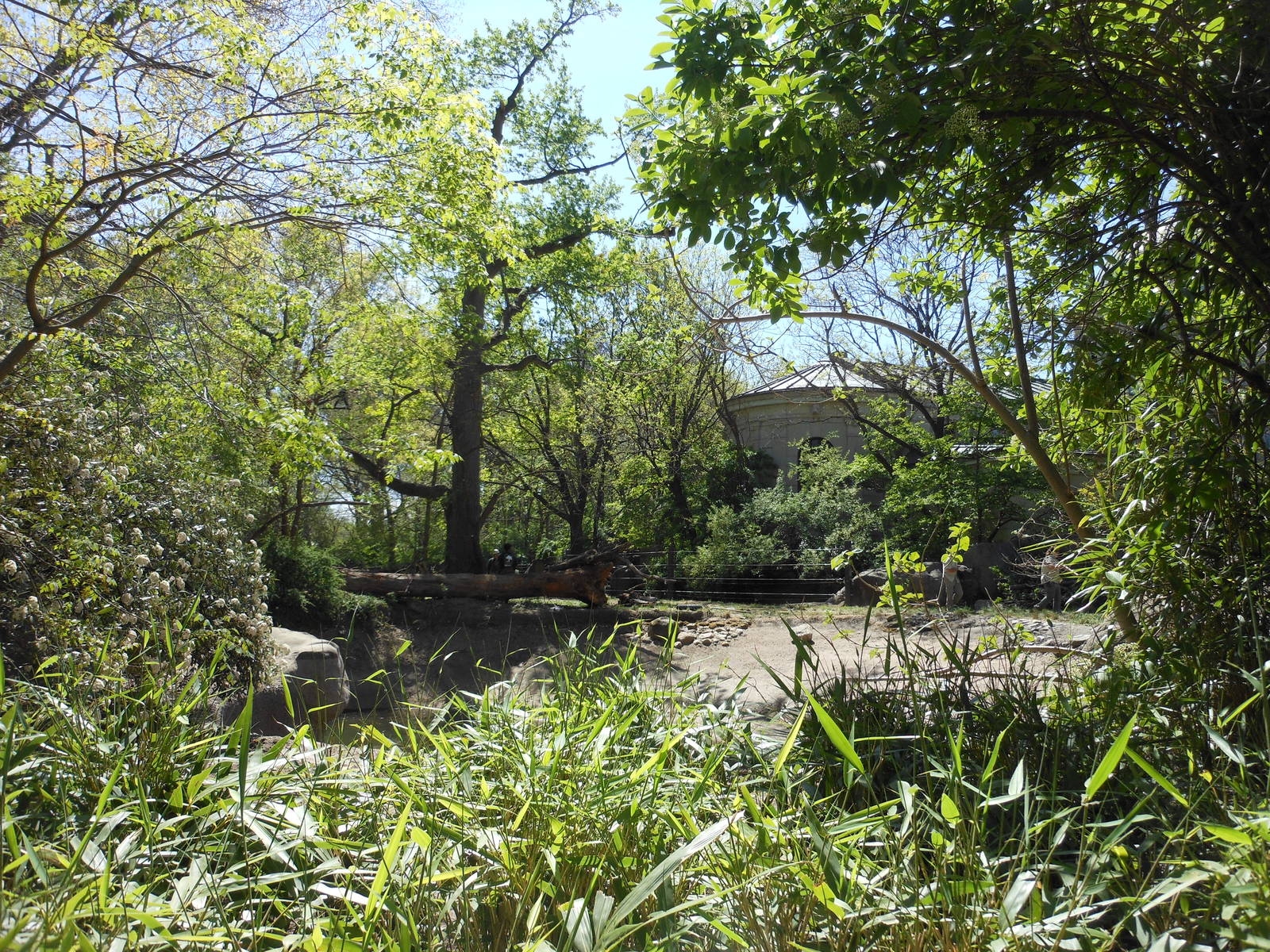 Bronx Zoo- Astor Court- Work Being Done at the Former Elephant Exhibit