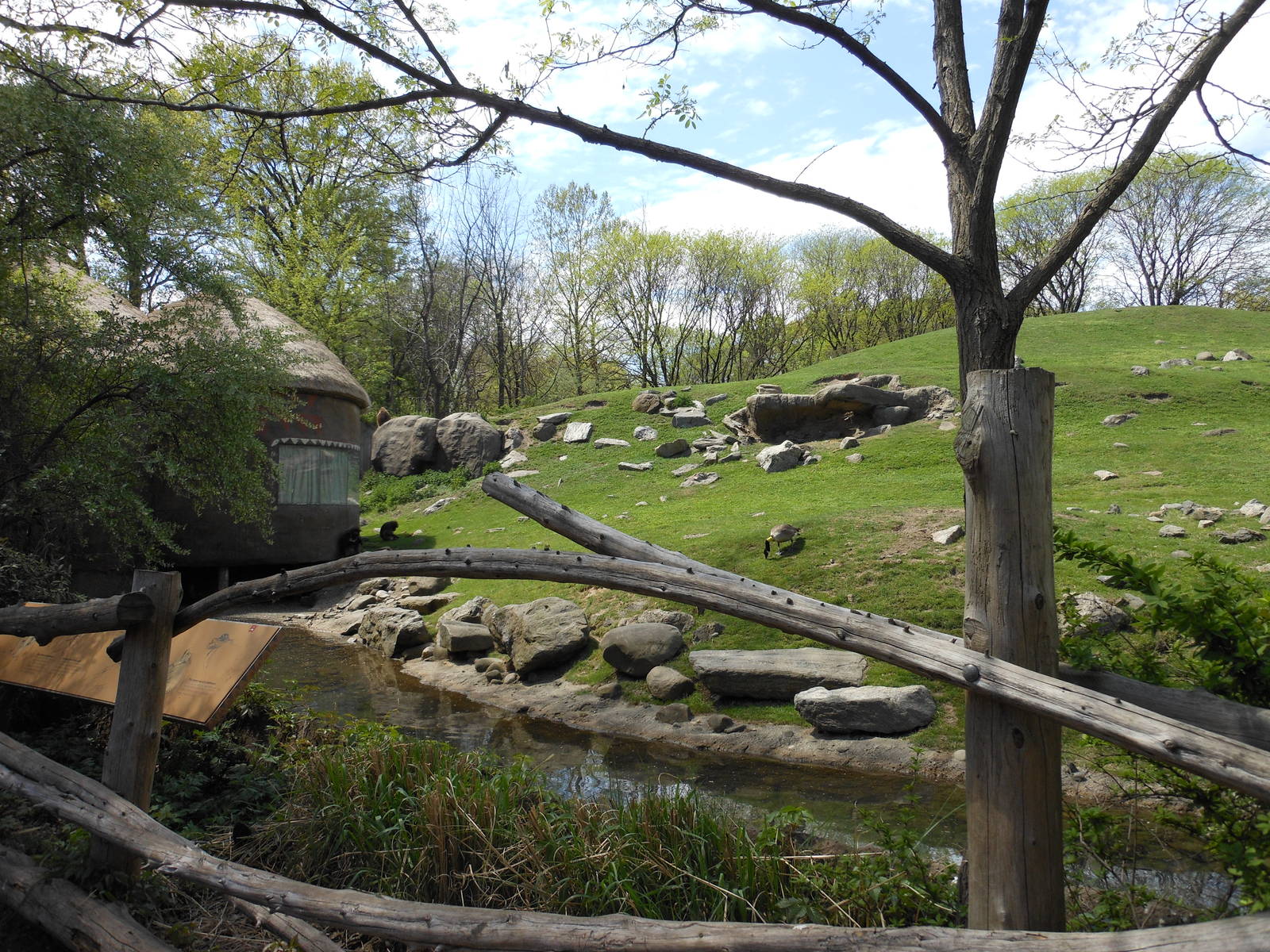 Bronx Zoo- Baboon Reserve- Part 3 of Baboon Reserve Panorama