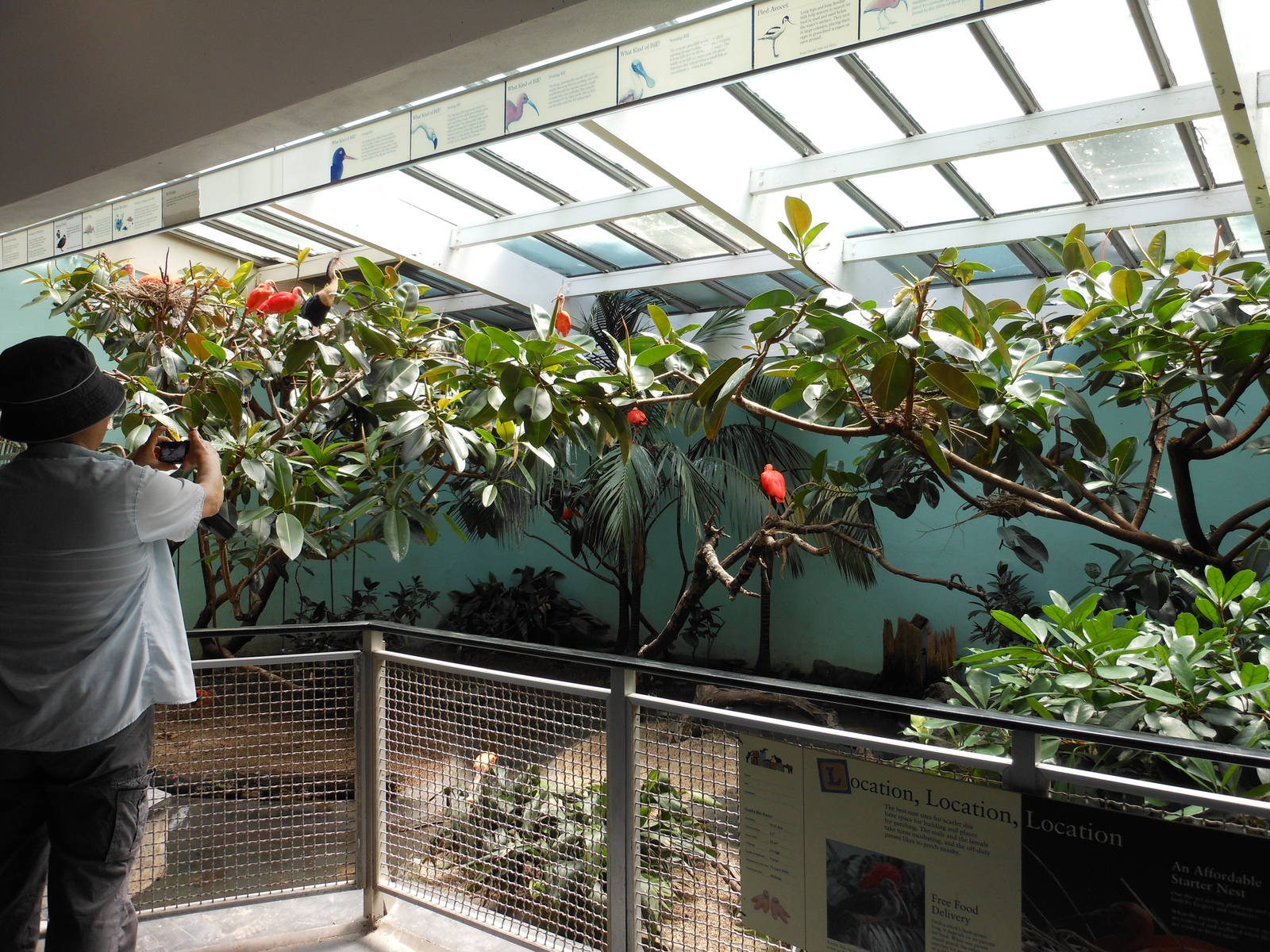 Bronx Zoo- Beautiful Wetland Exhibit @ Aquatic Bird House