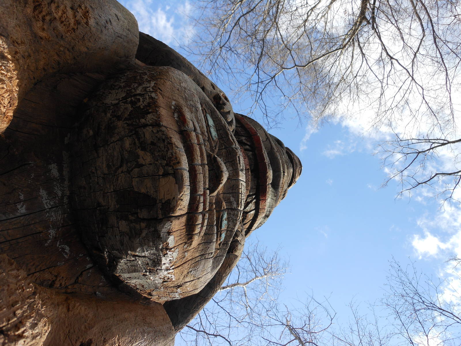 Bronx Zoo- Big Bears- Looking Up At the Totem Pole