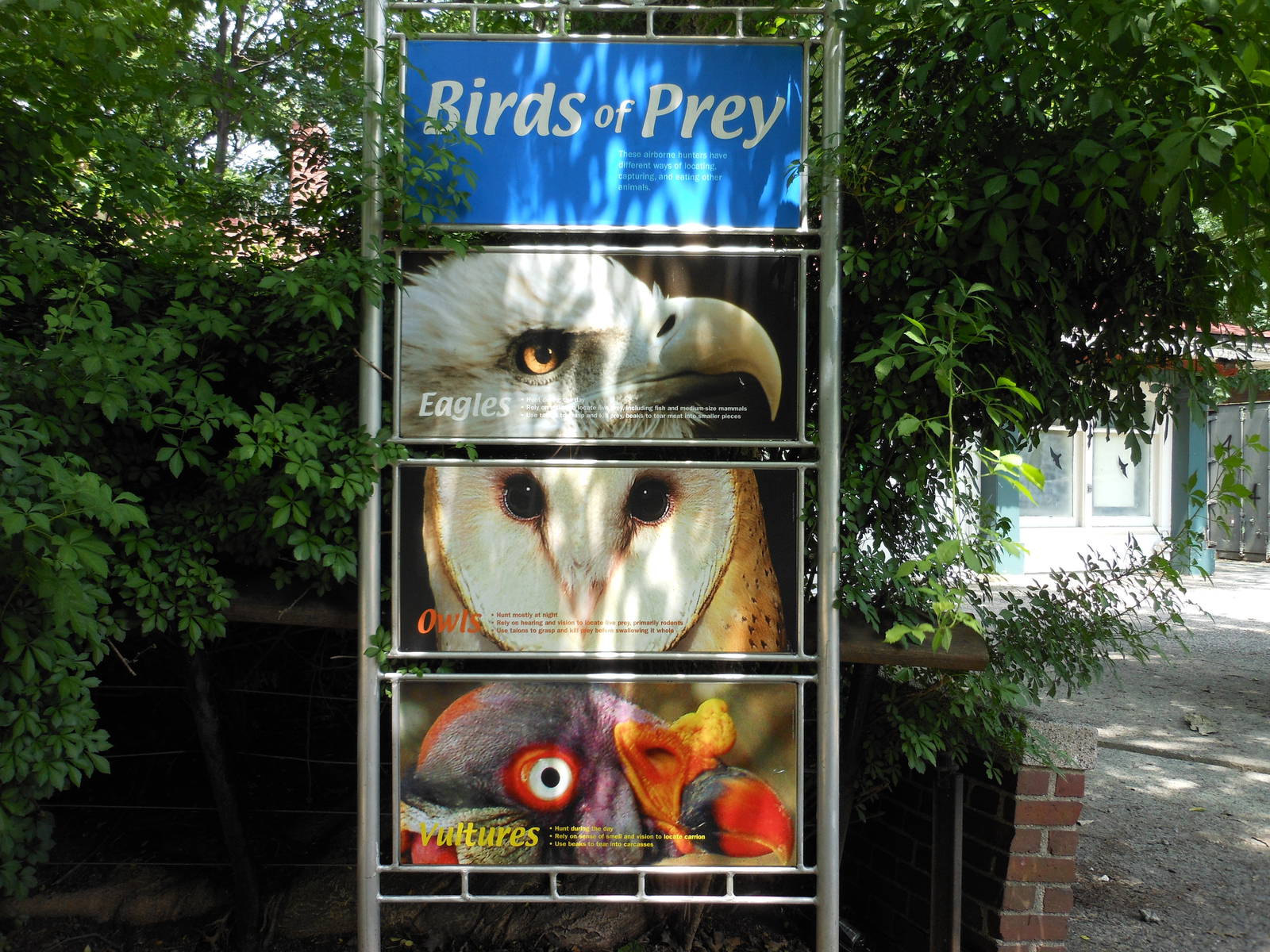 Bronx Zoo- Birds of Prey Sign