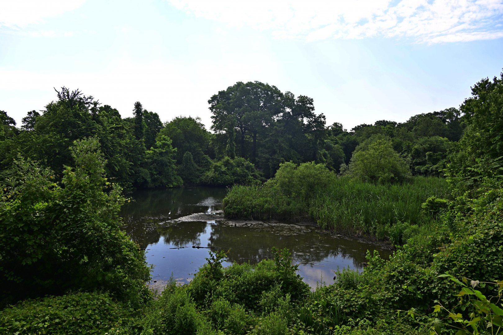 Bronx Zoo - Bronx River Landscape