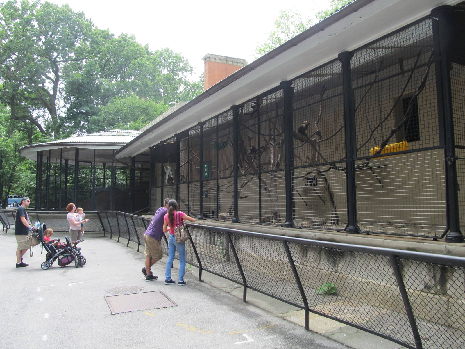 Bronx Zoo- Capuchin Monkey Exhibit