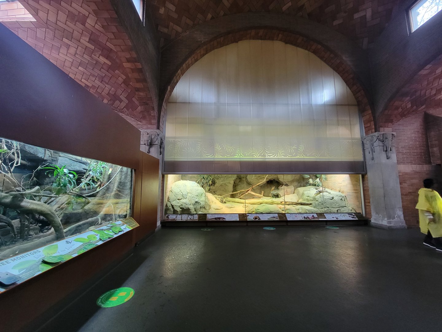 Bronx - Zoo Center, blue monitor on left, Komodo in front
