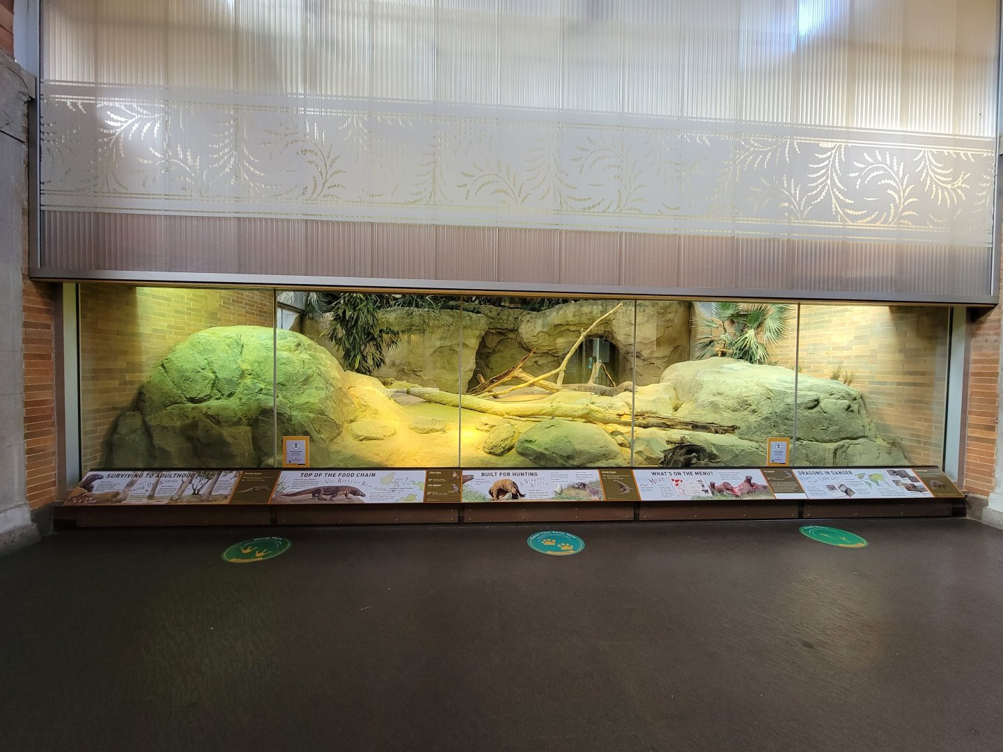 Bronx - Zoo Center - Komodo dragon, zebra finch, java sparrow