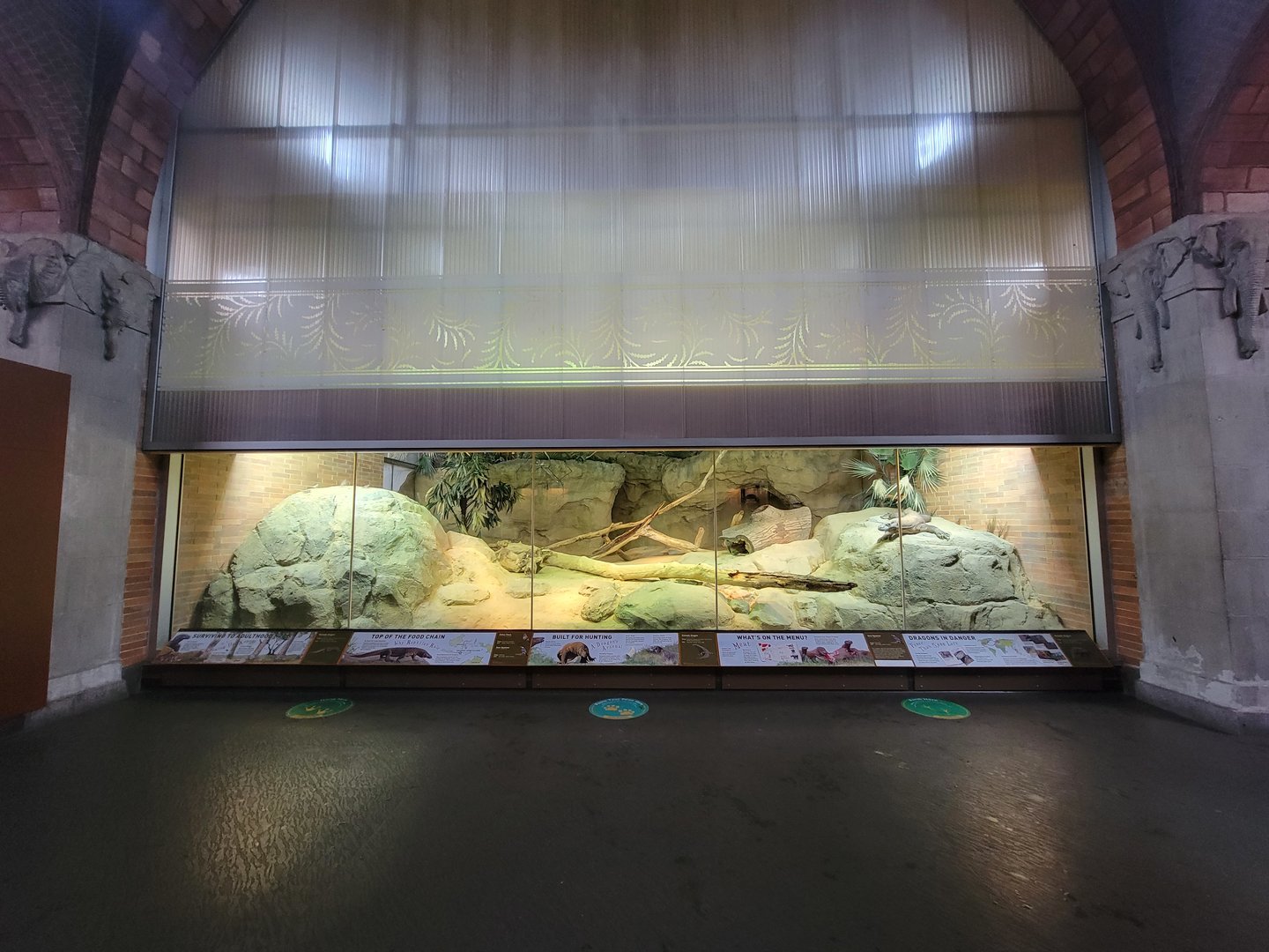 Bronx - Zoo Center, Komodo dragon, zebra finch, Java sparrow