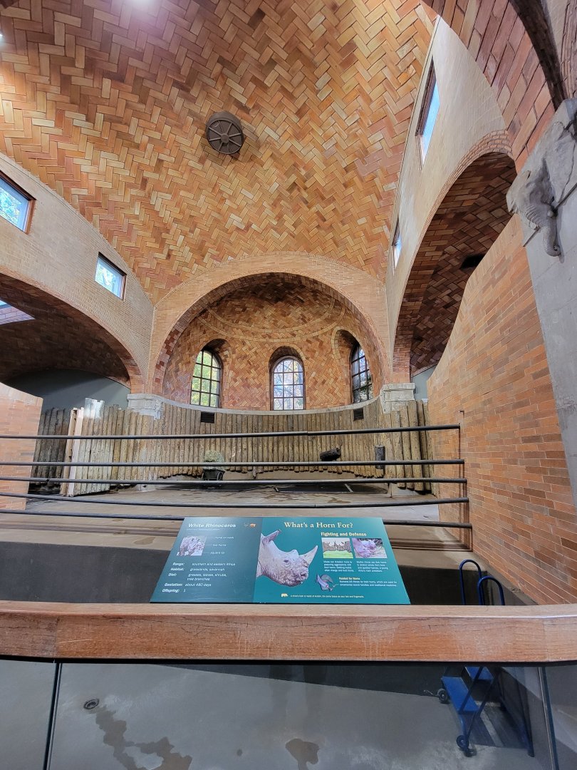 Bronx - Zoo Center - Rhino indoor area