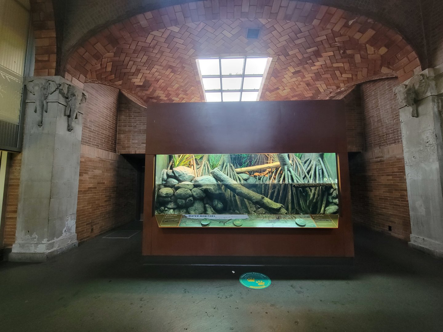 Bronx - Zoo Center, turtle, signed for Mertens water monitor