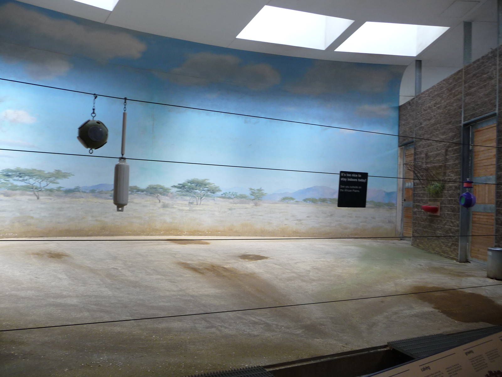 Bronx Zoo - Giraffe House