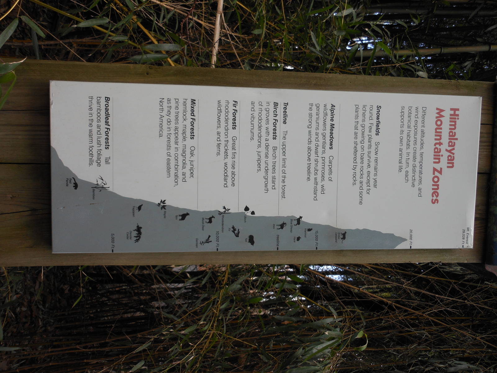 Bronx Zoo- Himalayan Highlands- Himalayan Mountain Zones Signage