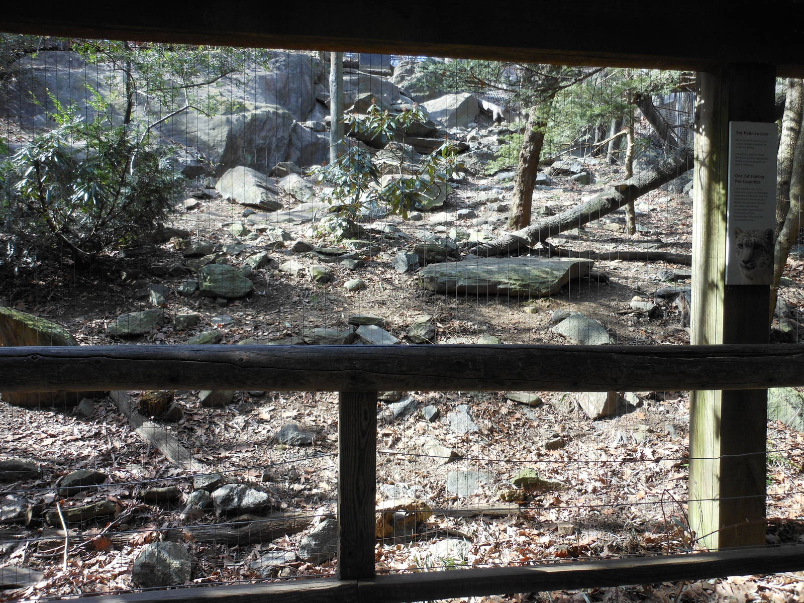 Bronx Zoo- Himalayan Highlands- Part 1 of Second Snow Leopard Exhibit