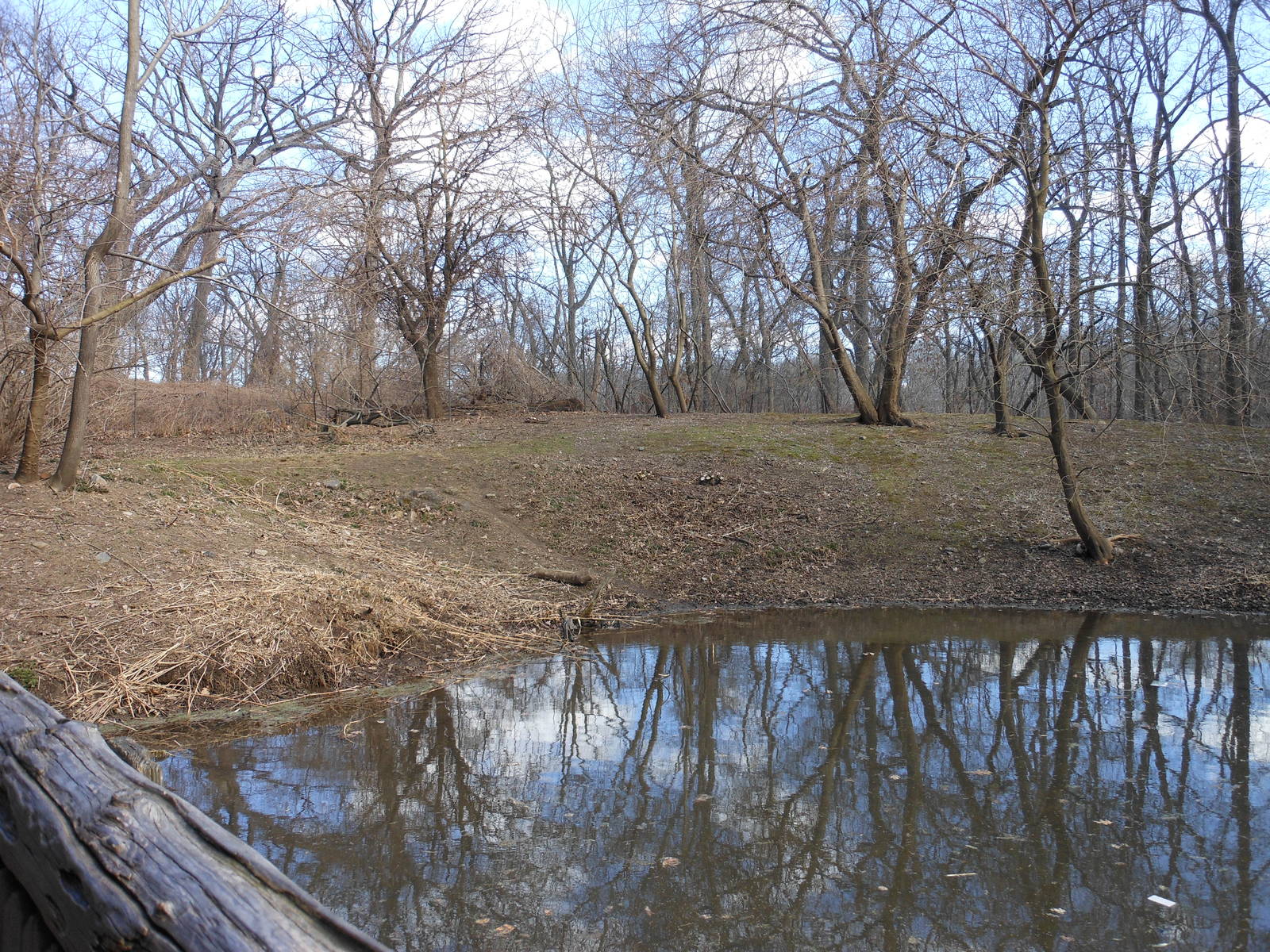 Bronx Zoo- Himalayan Highlands- Part 1 of White-naped Crane Exhibit