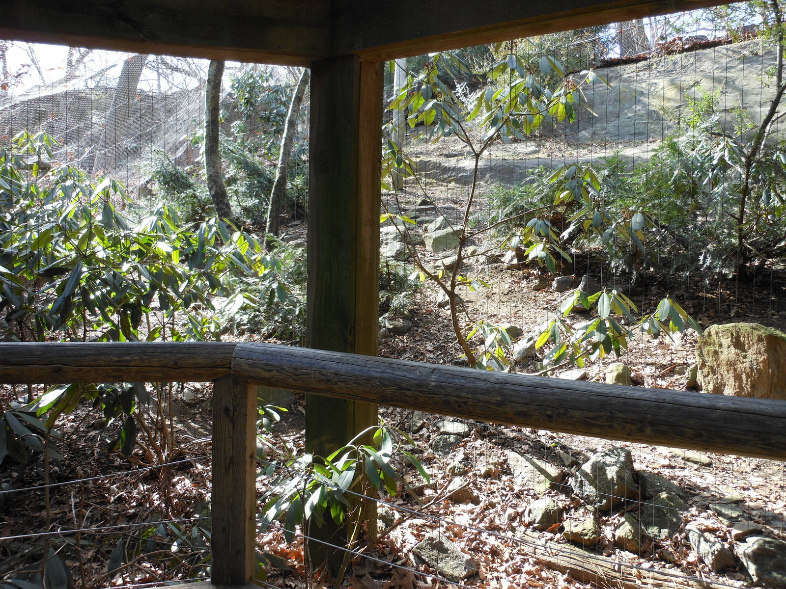 Bronx Zoo- Himalayan Highlands- Part 3 of Second Snow Leopard Exhibit