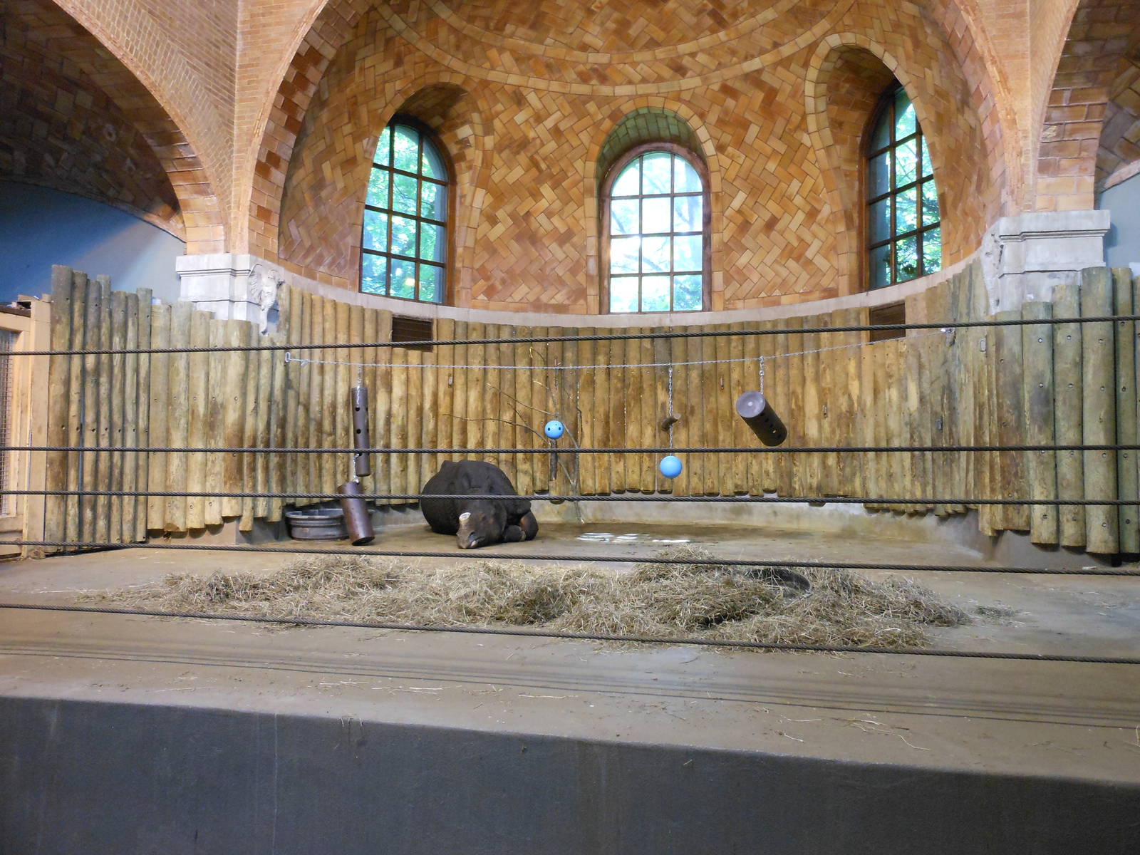 Bronx Zoo- Indian Rhinoceros Pen @ Zoo Center