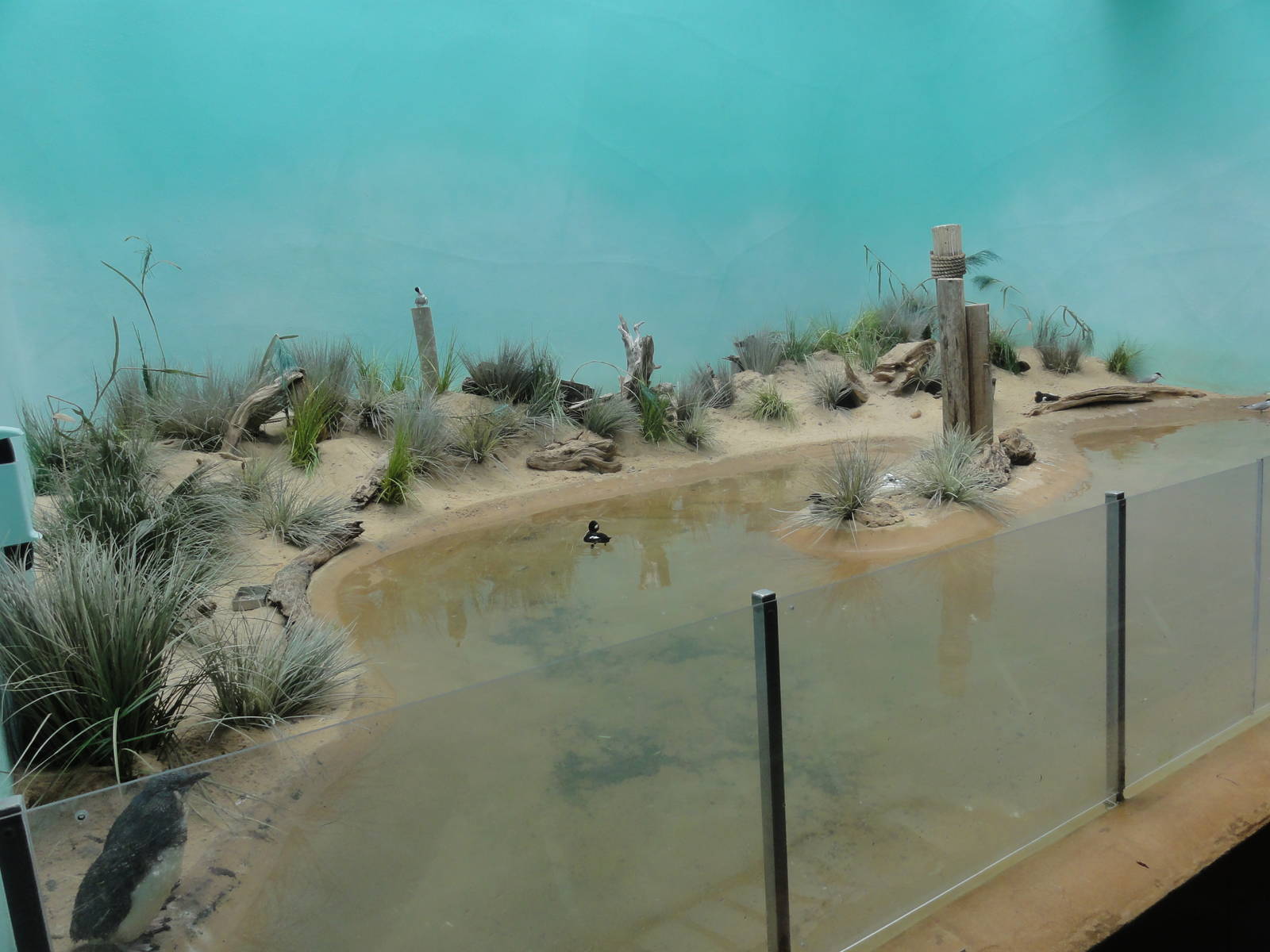 Bronx Zoo: July 2016