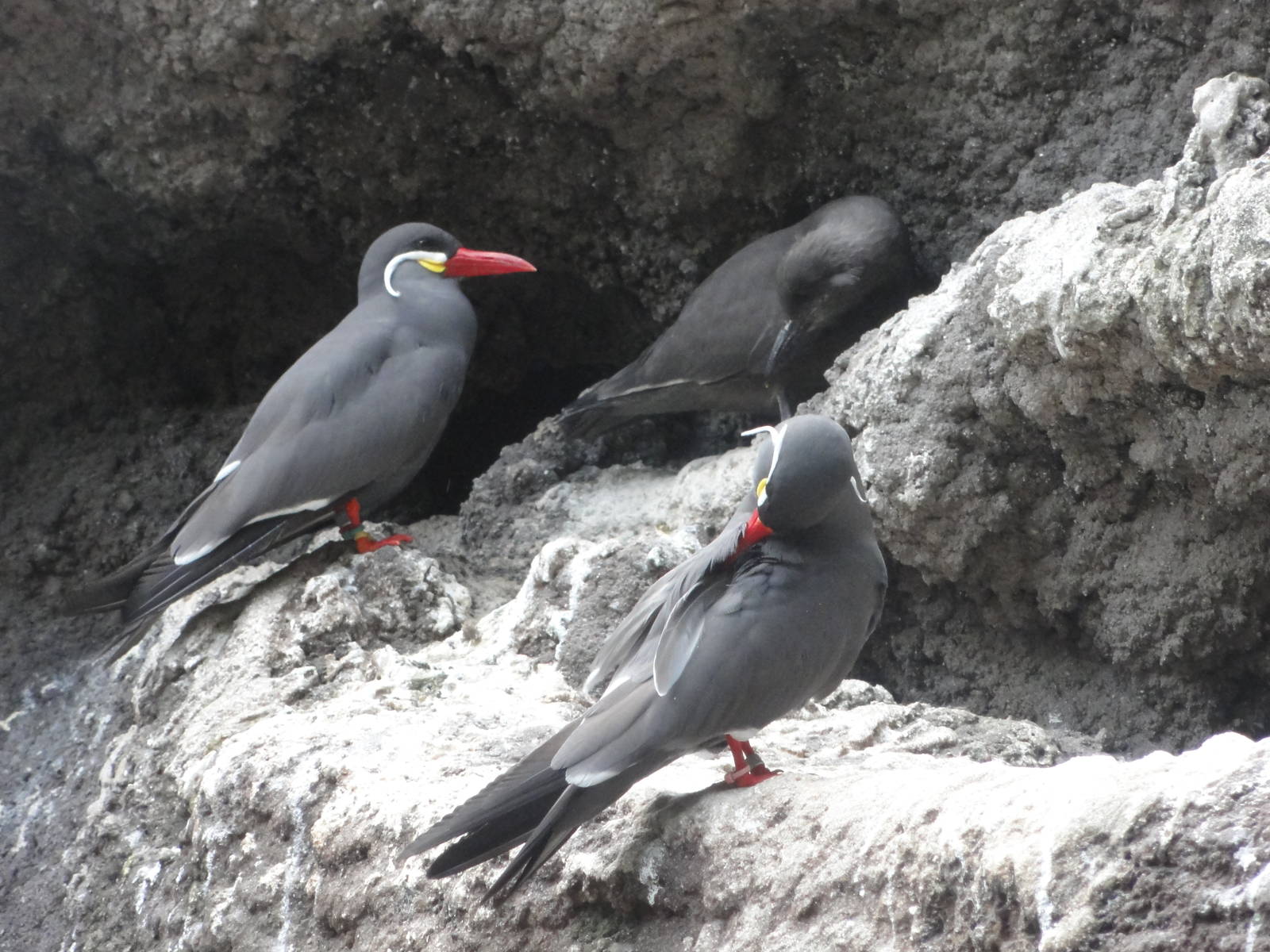 Bronx Zoo: July 2016