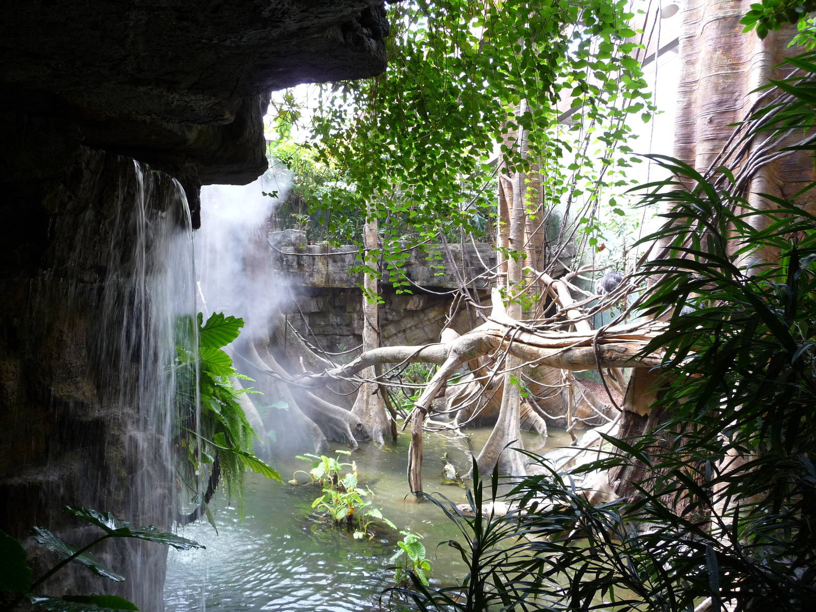 Bronx Zoo - Jungle World