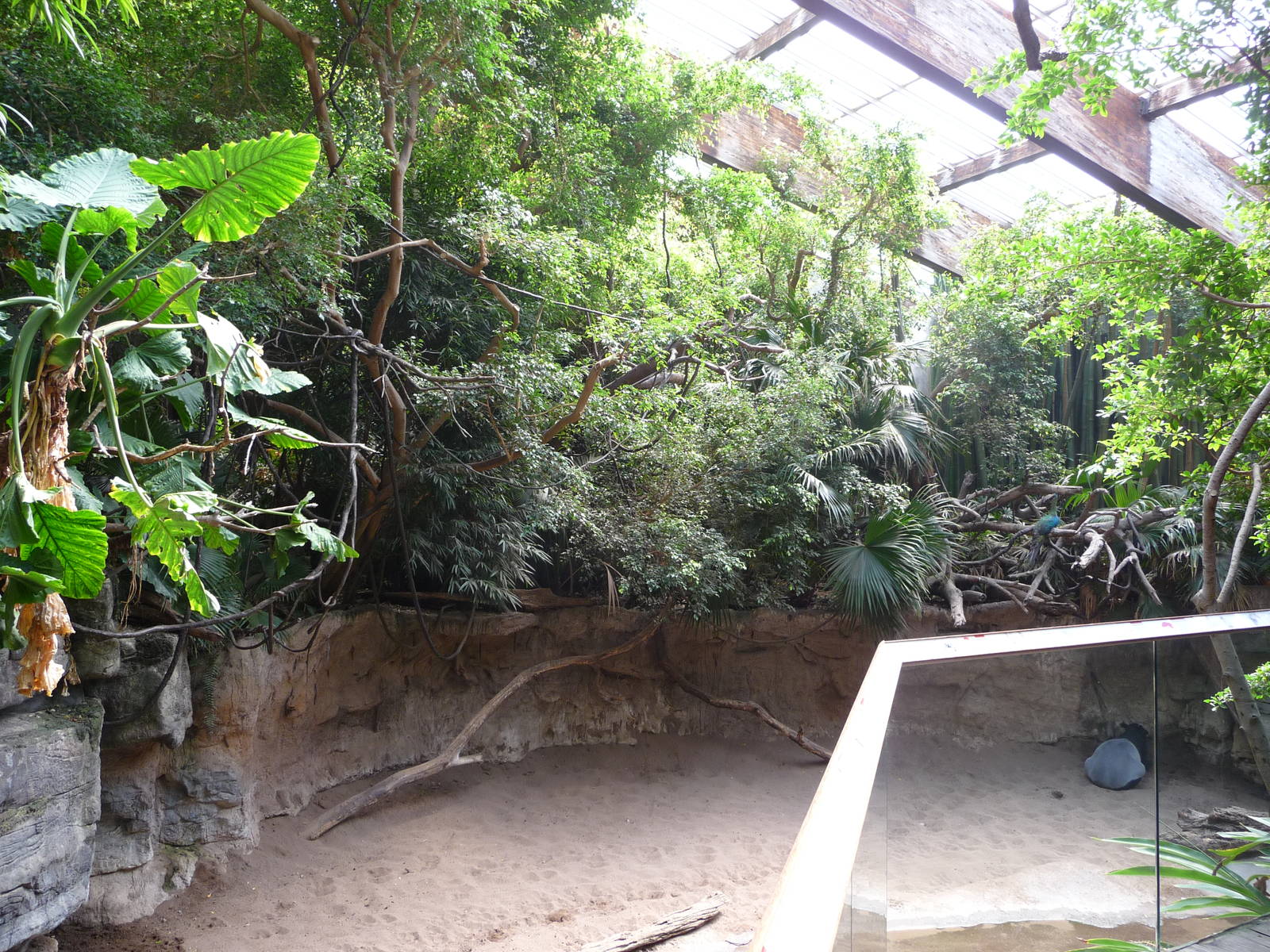 Bronx Zoo - Jungle World