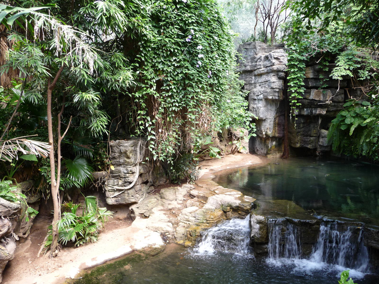 Bronx Zoo - Jungle World