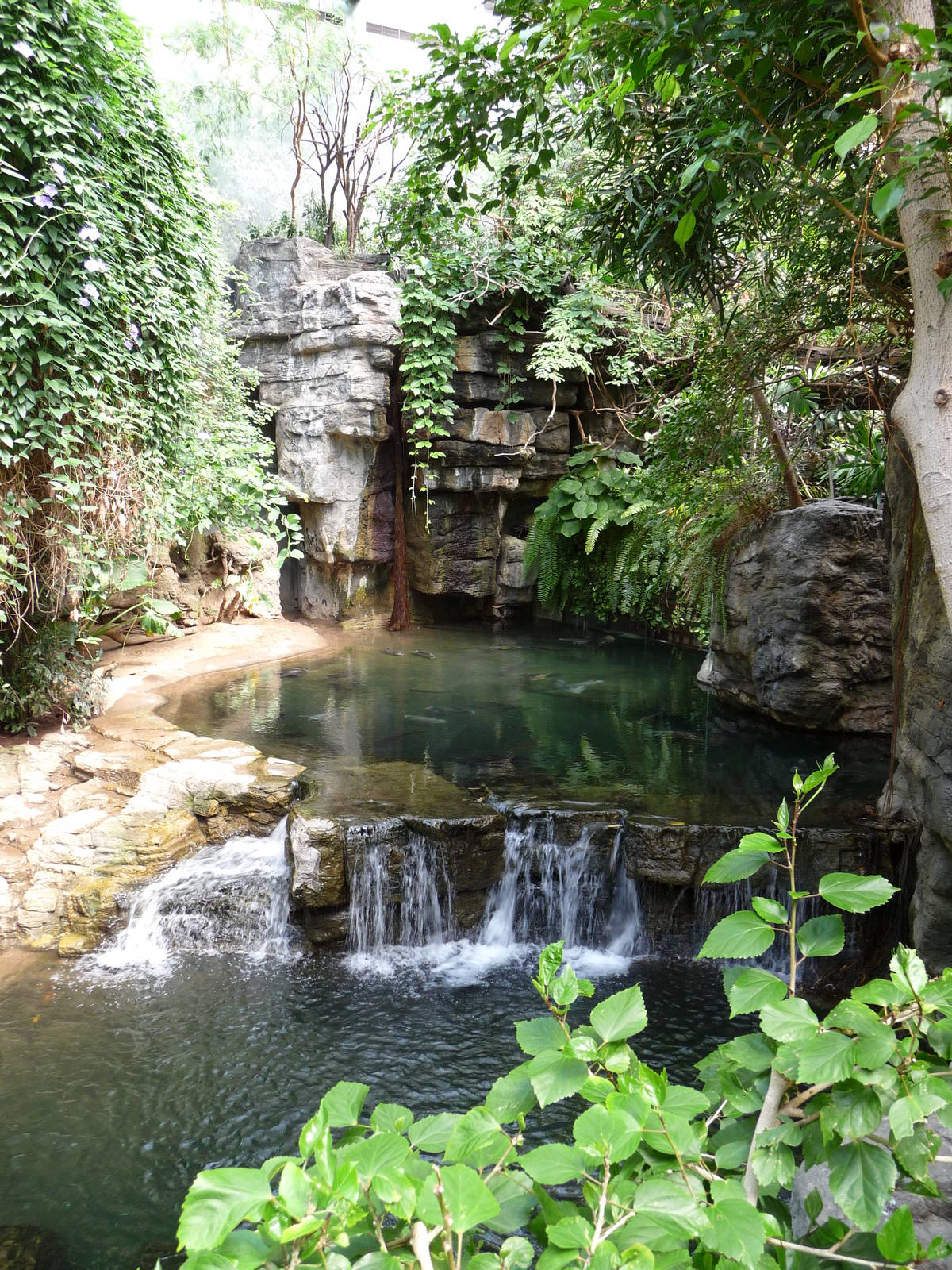 Bronx Zoo - Jungle World