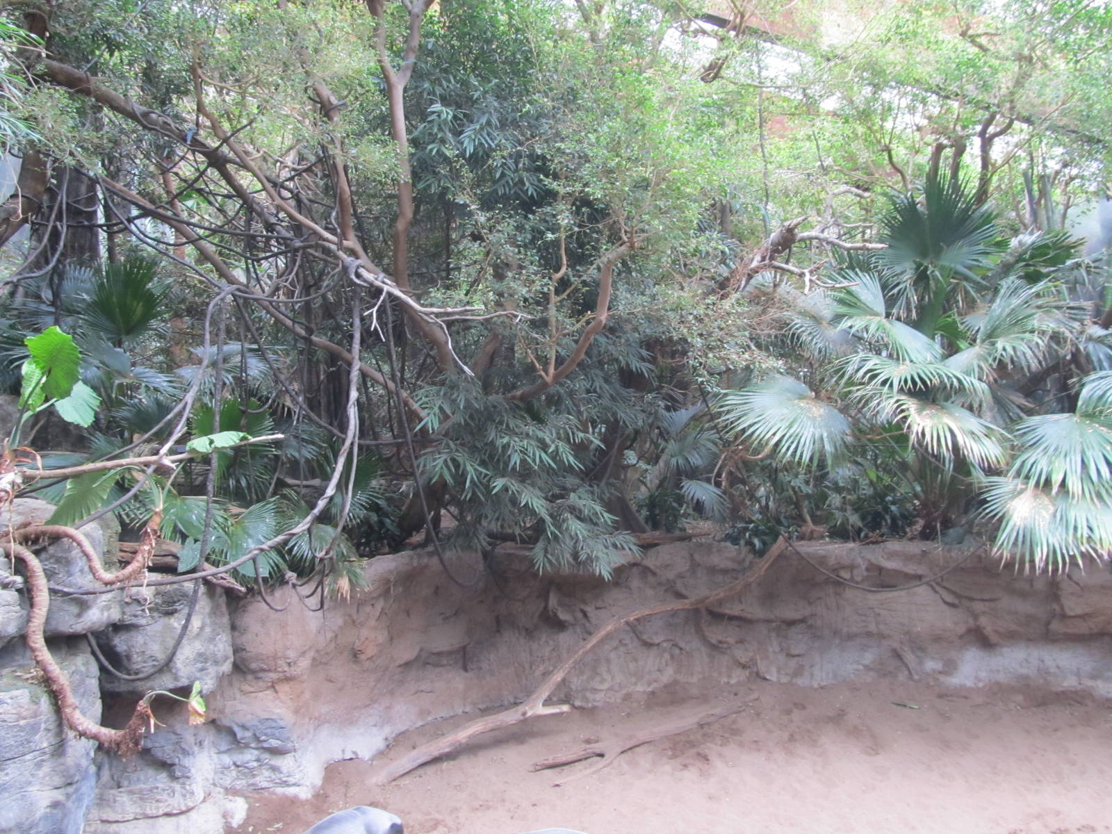 Bronx Zoo- Jungleworld