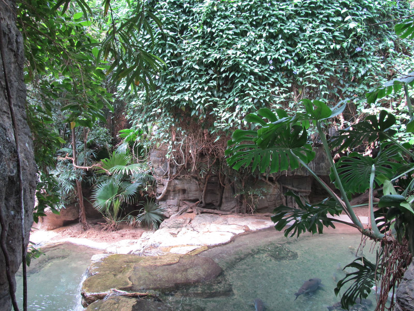 Bronx zoo- Jungleworld