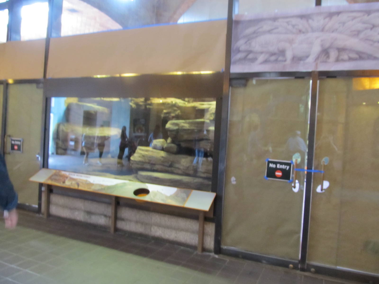 Bronx Zoo- Komodo Dragon Exhibit (under construction)