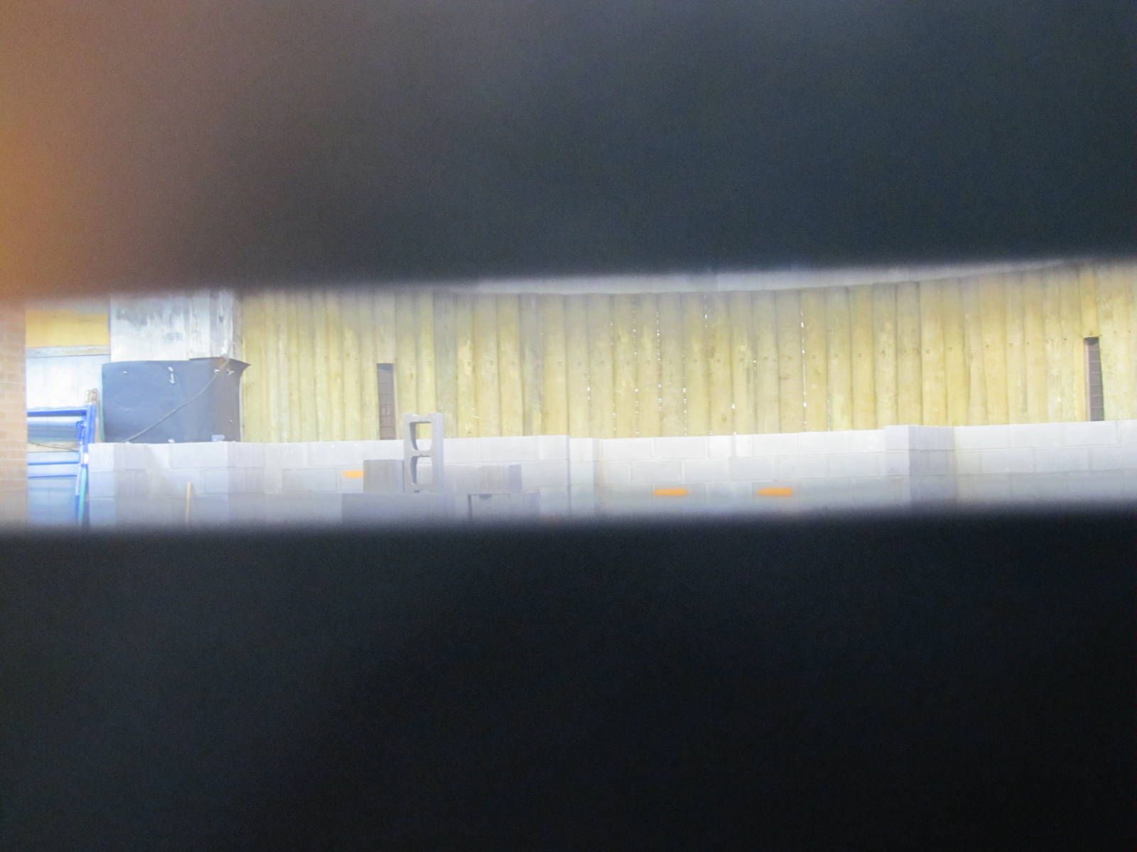 Bronx Zoo- Komodo Dragons Construction?